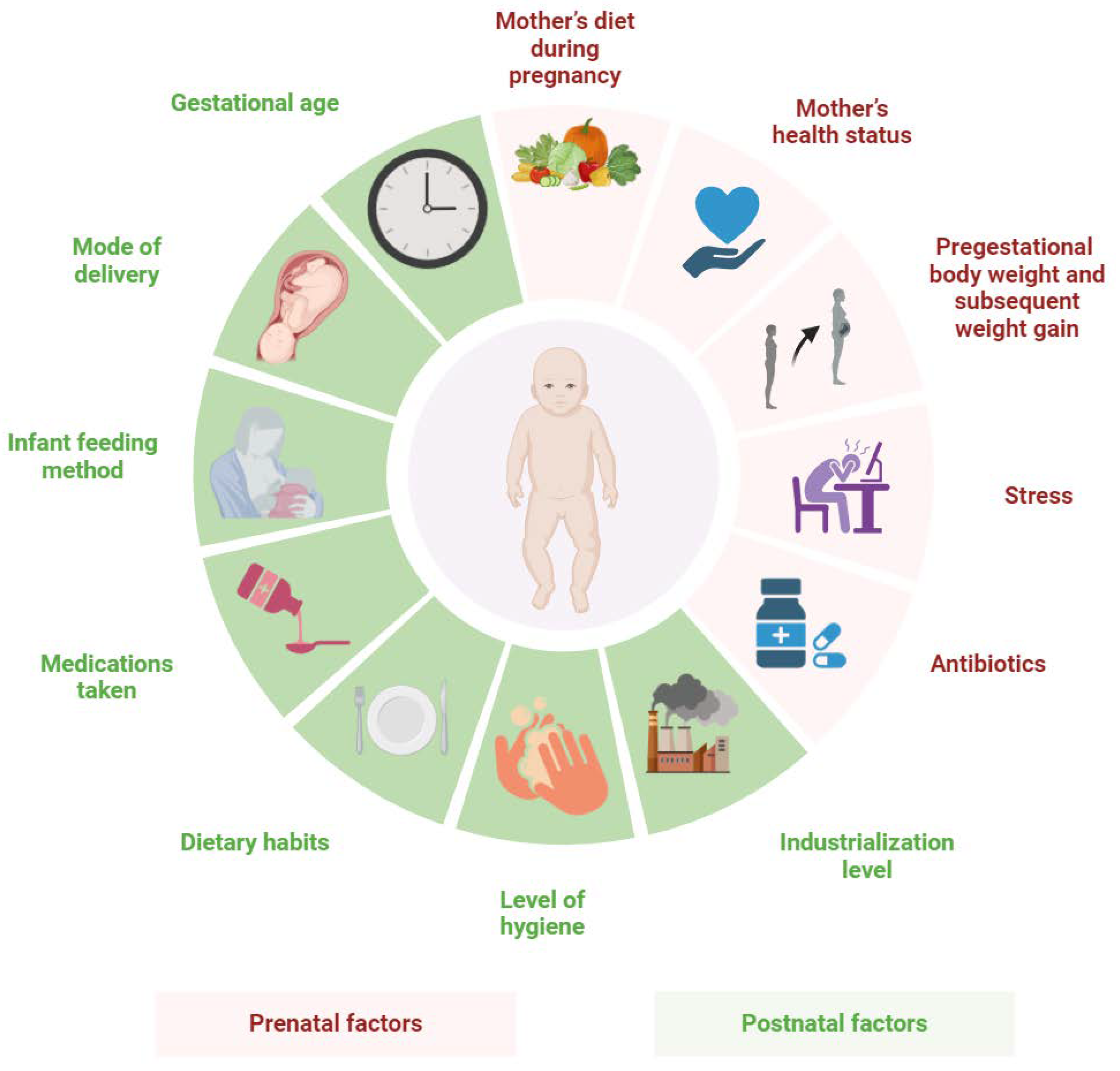Biomedicines 13 00121 g003 Biomedicines 13 00121 g003