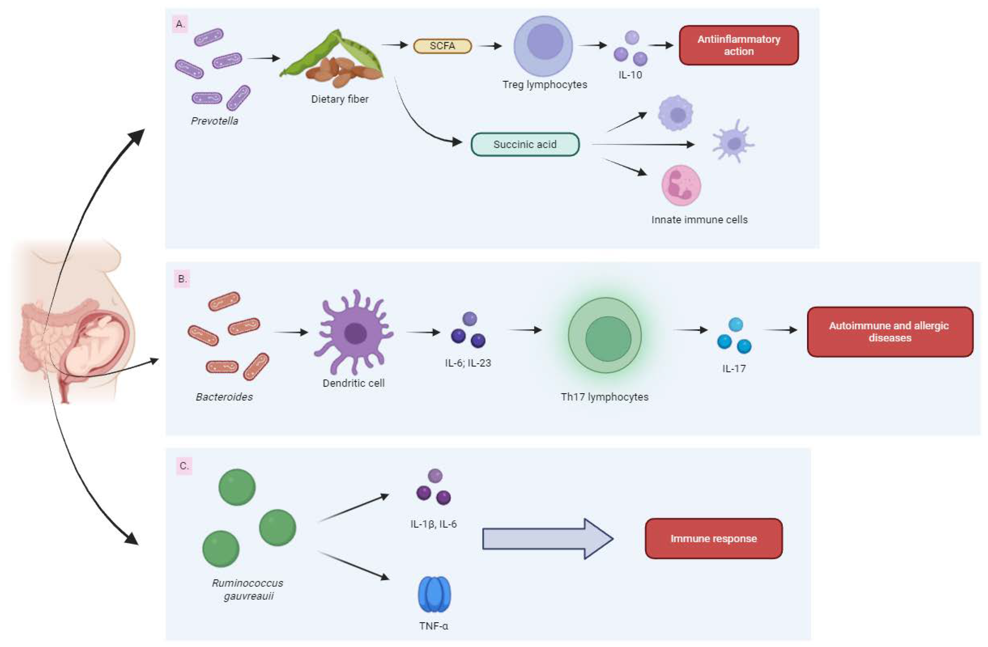 Biomedicines 13 00121 g005 Biomedicines 13 00121 g005