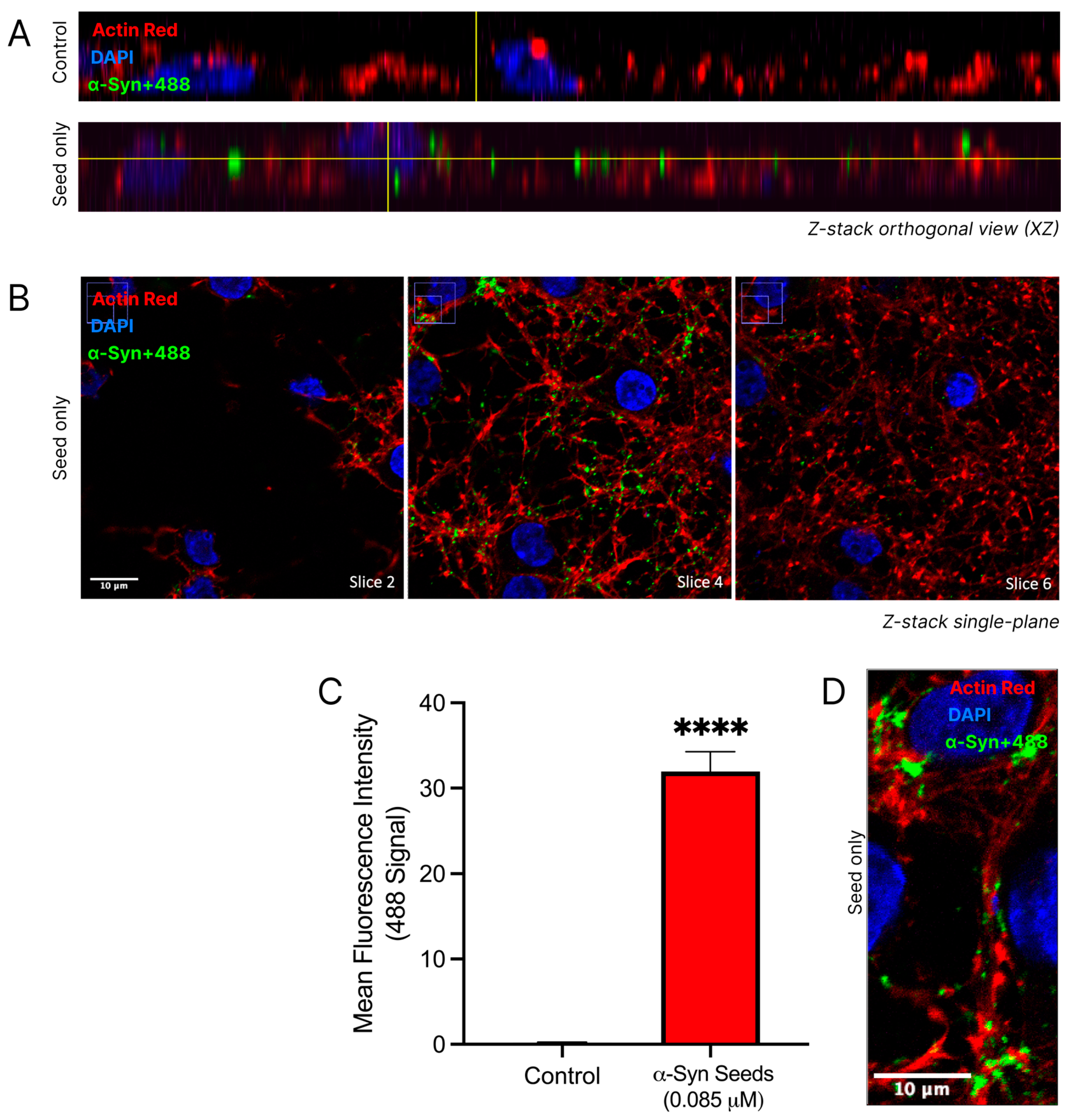 Biomedicines 13 00122 g005 Biomedicines 13 00122 g005