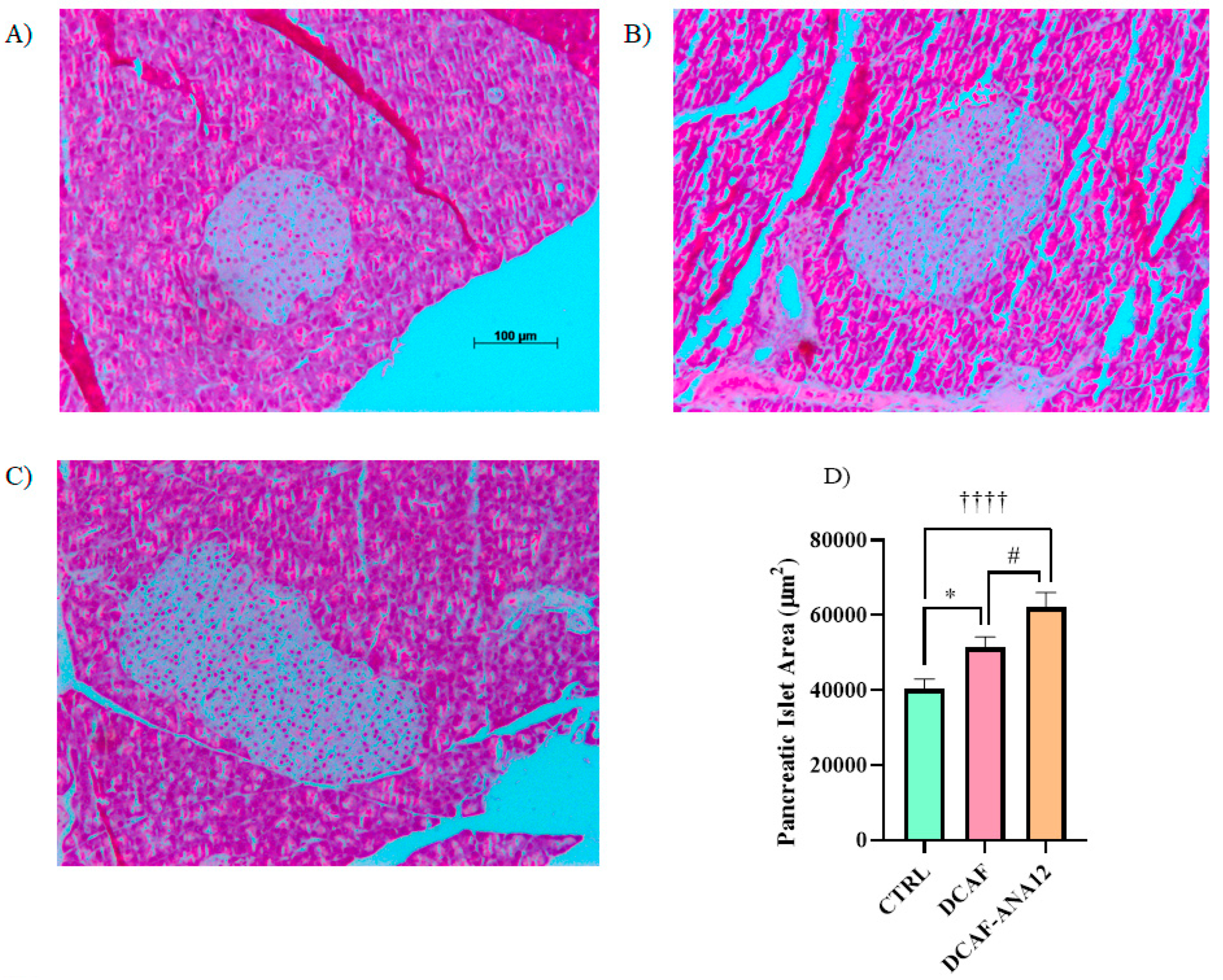 Biomedicines 13 00126 g004
