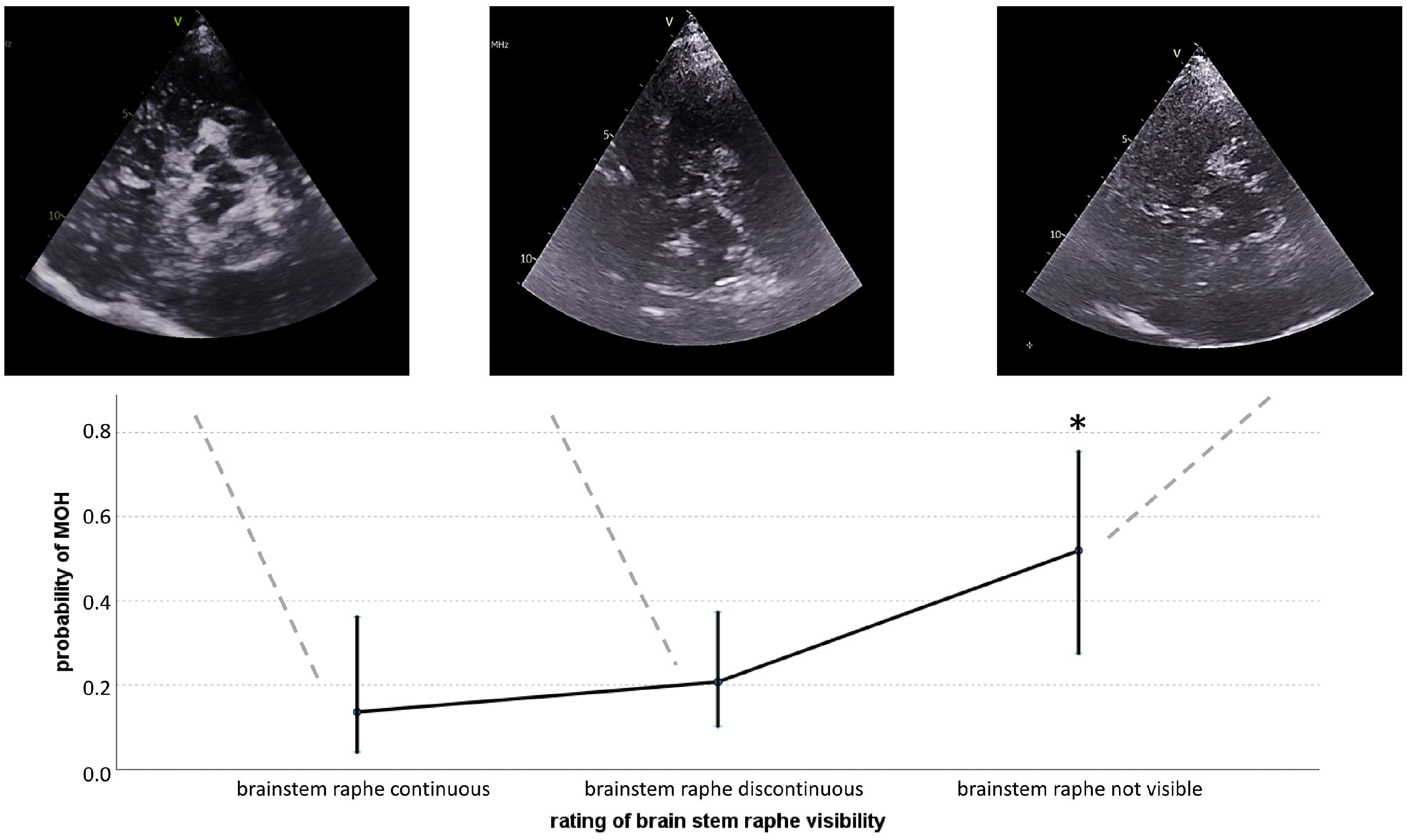 Biomedicines 13 00131 g001