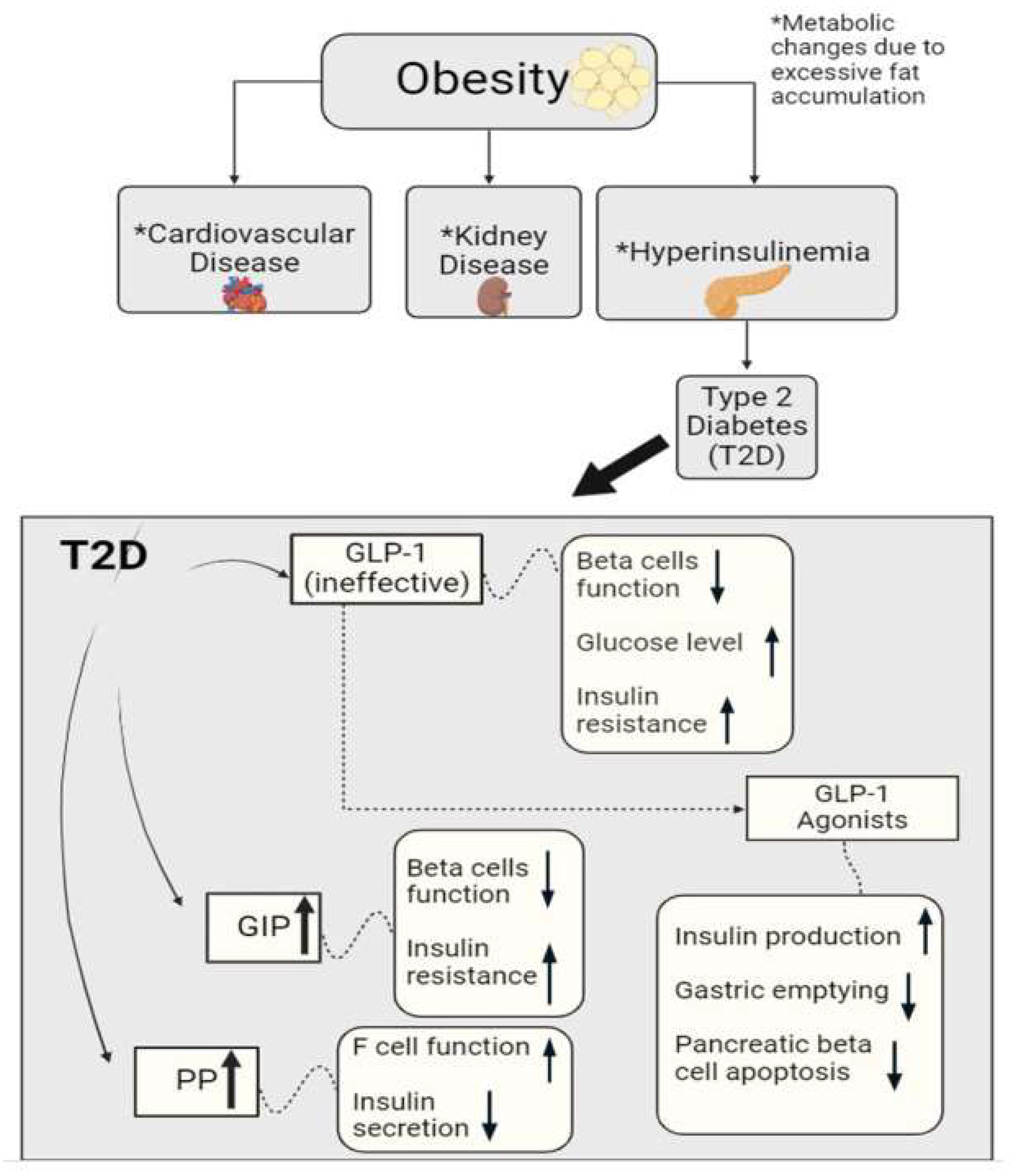 Biomedicines 13 00132 g001 Biomedicines 13 00132 g001