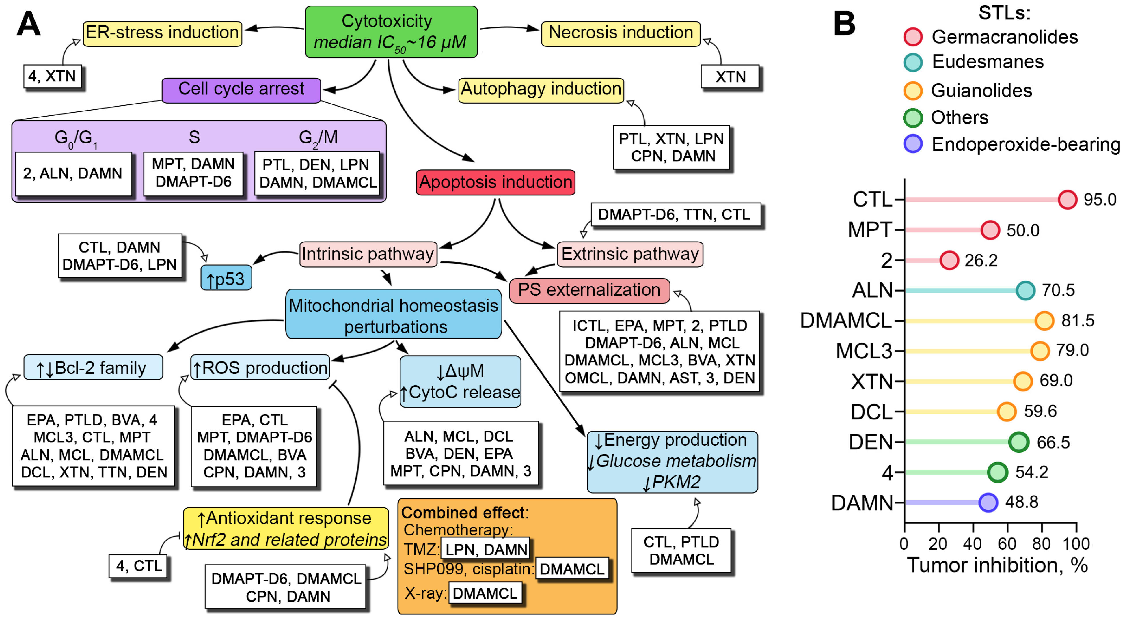 Biomedicines 13 00133 g002