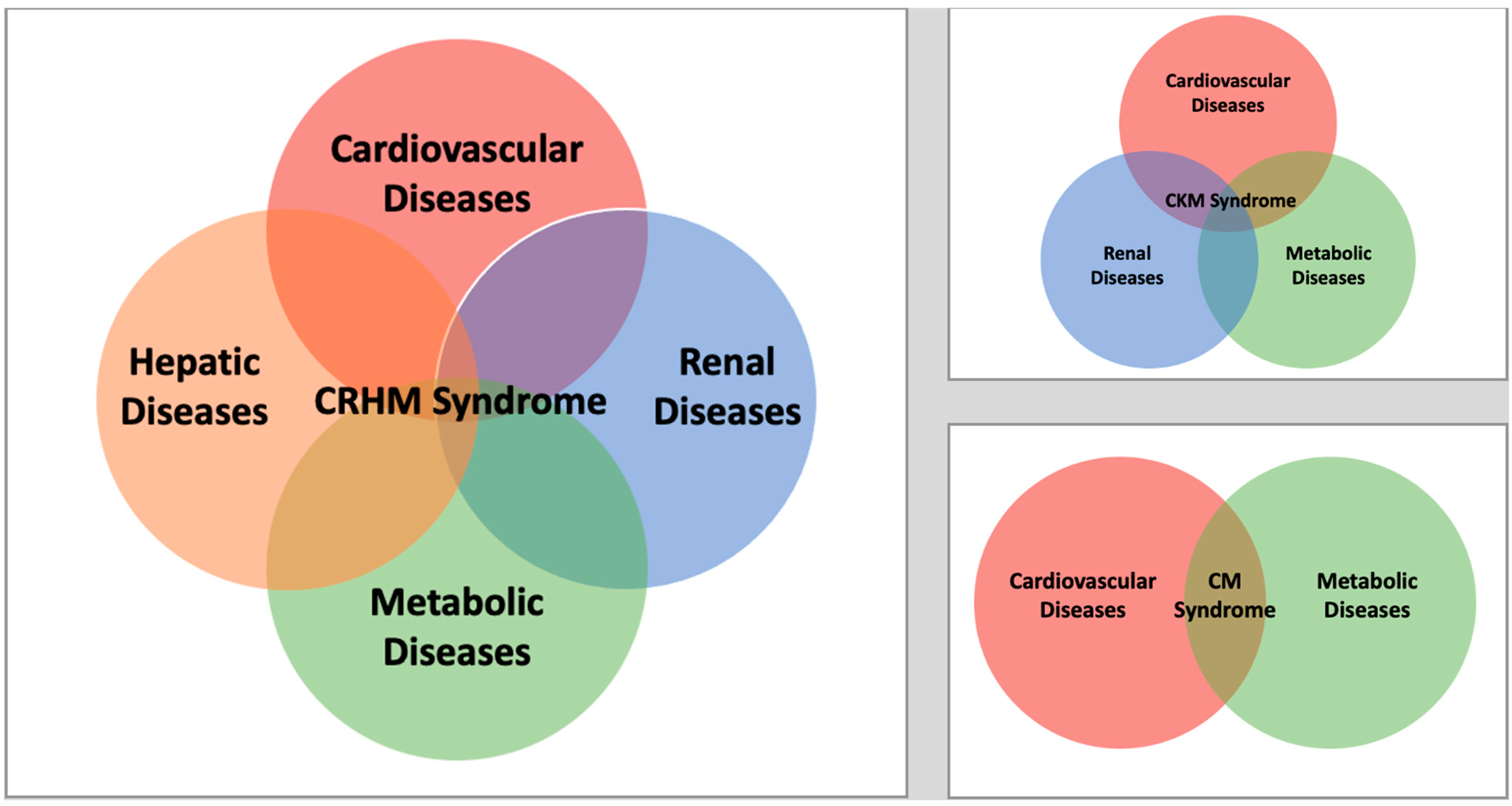 Biomedicines 13 00135 g002