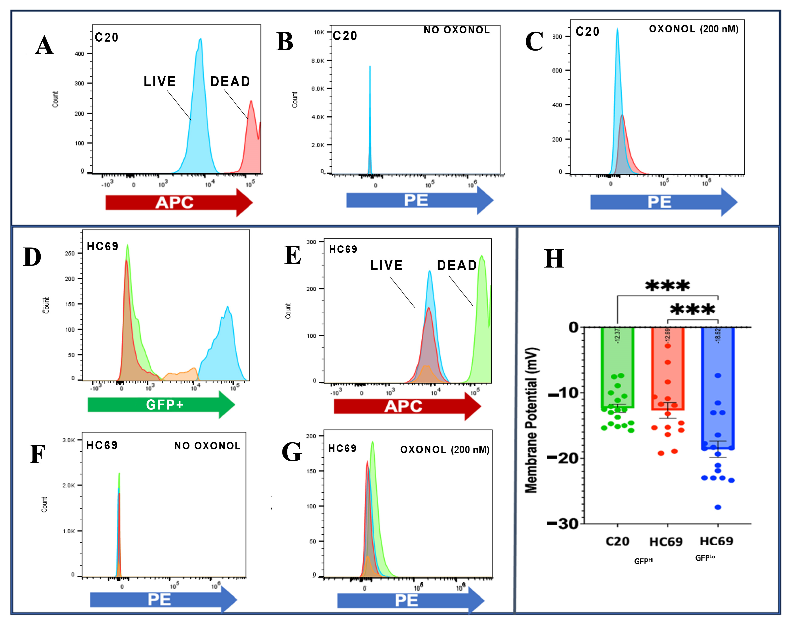 Biomedicines 13 00147 g002