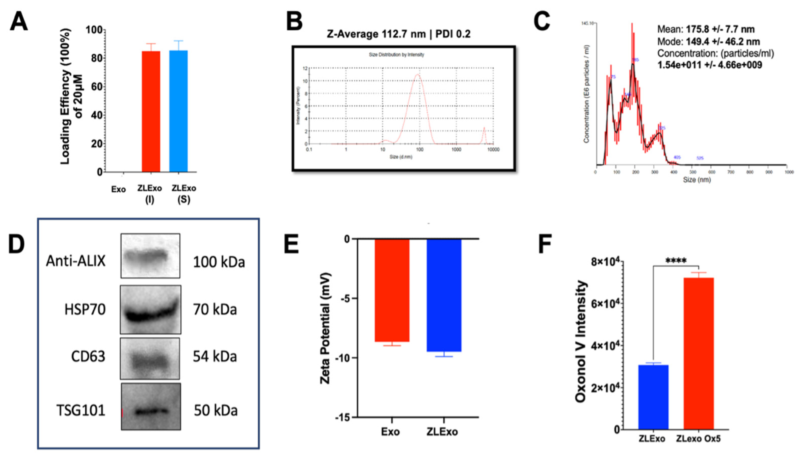 Biomedicines 13 00147 g005