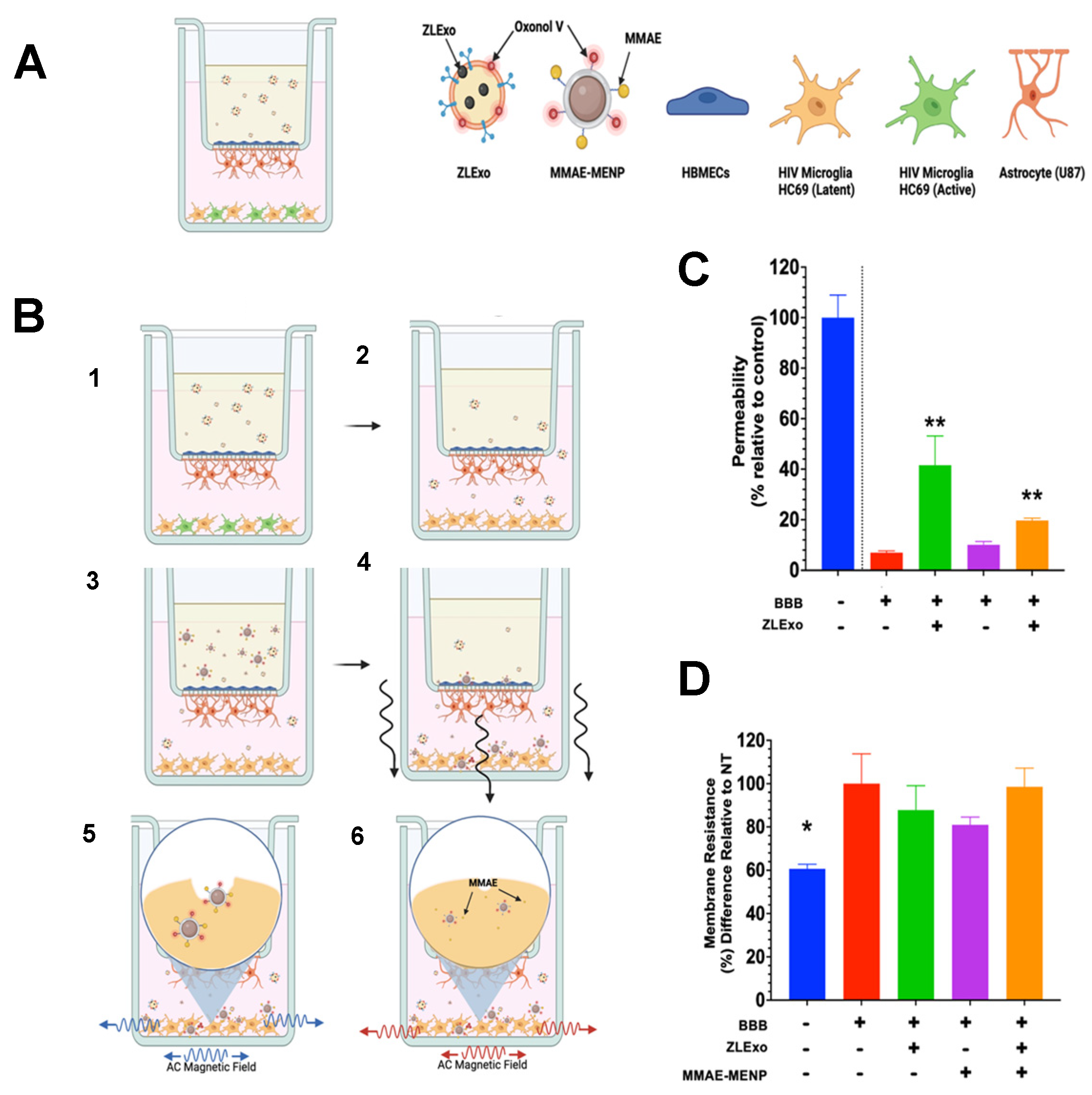 Biomedicines 13 00147 g010