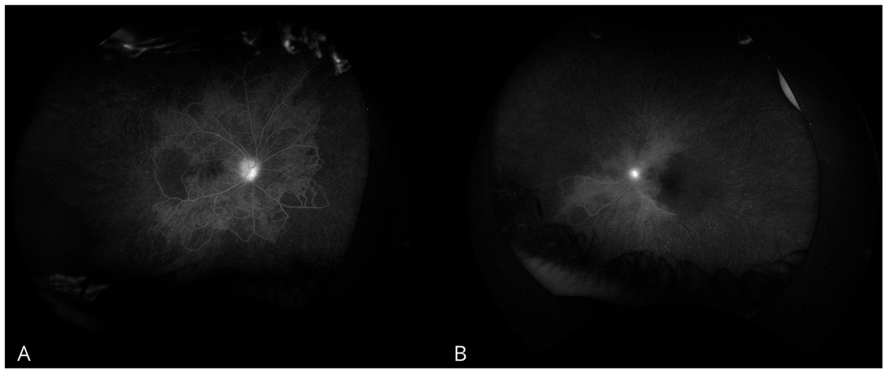 Biomedicines 13 00148 g001
