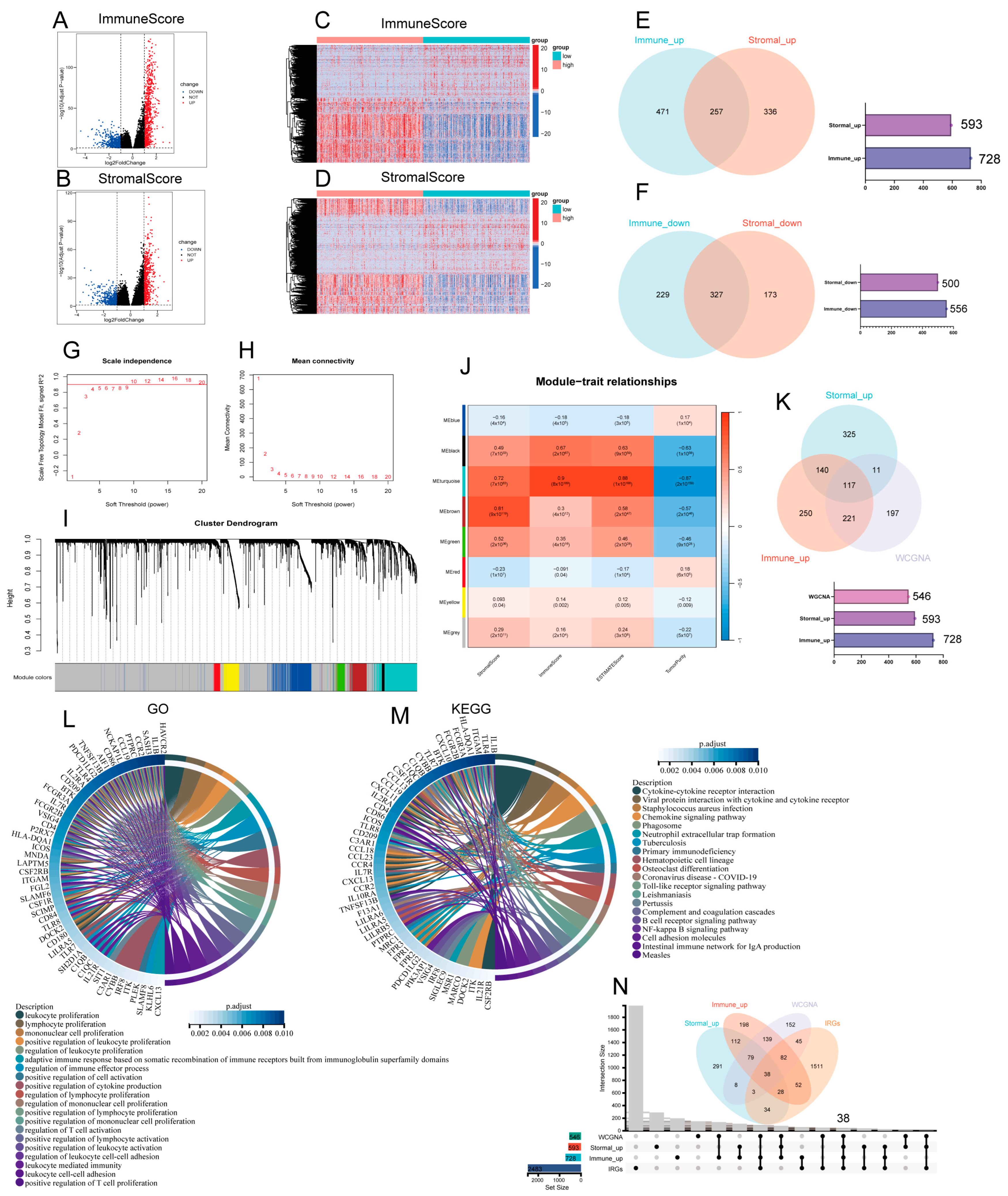 Biomedicines 13 00151 g002