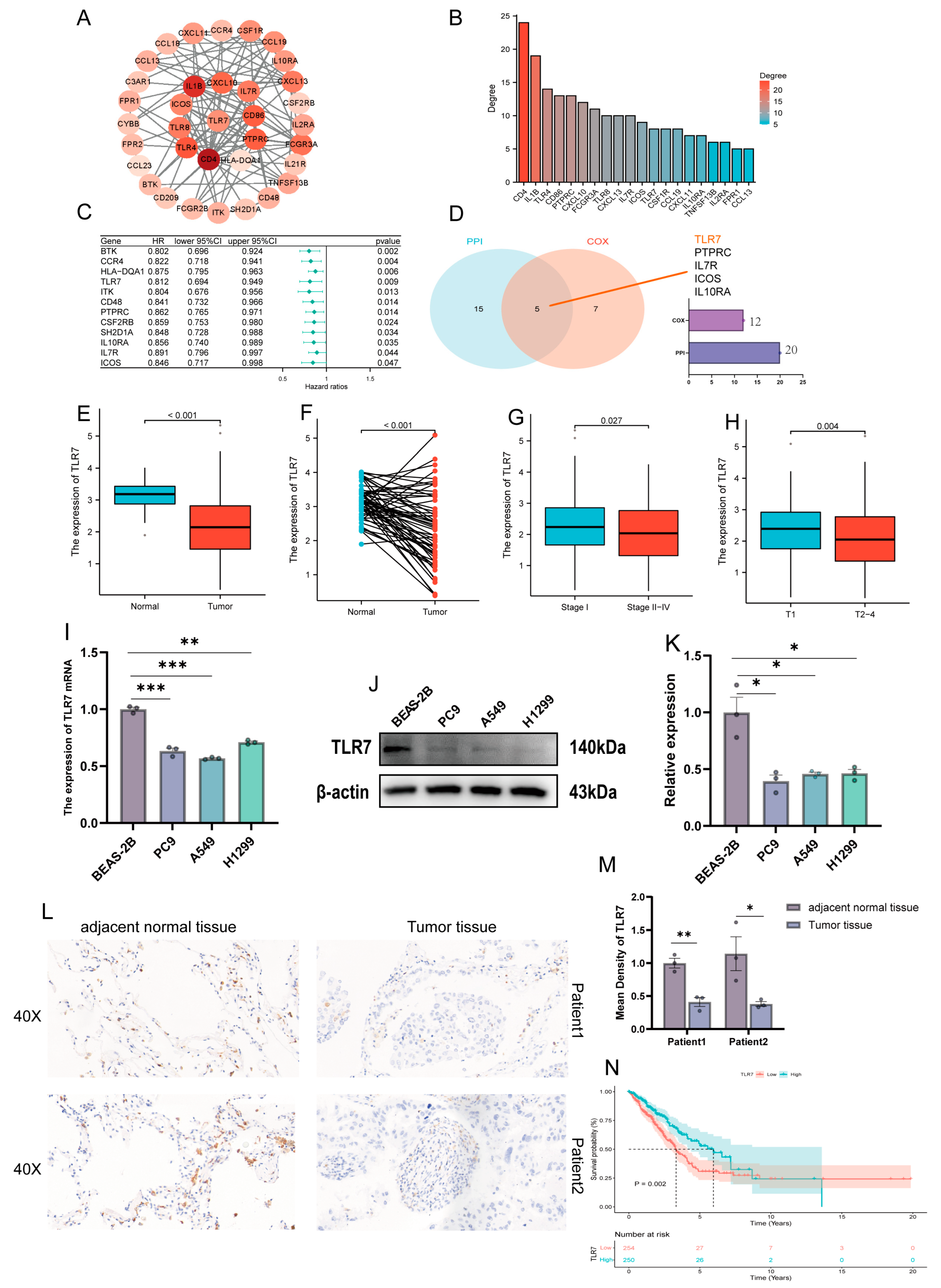 Biomedicines 13 00151 g003