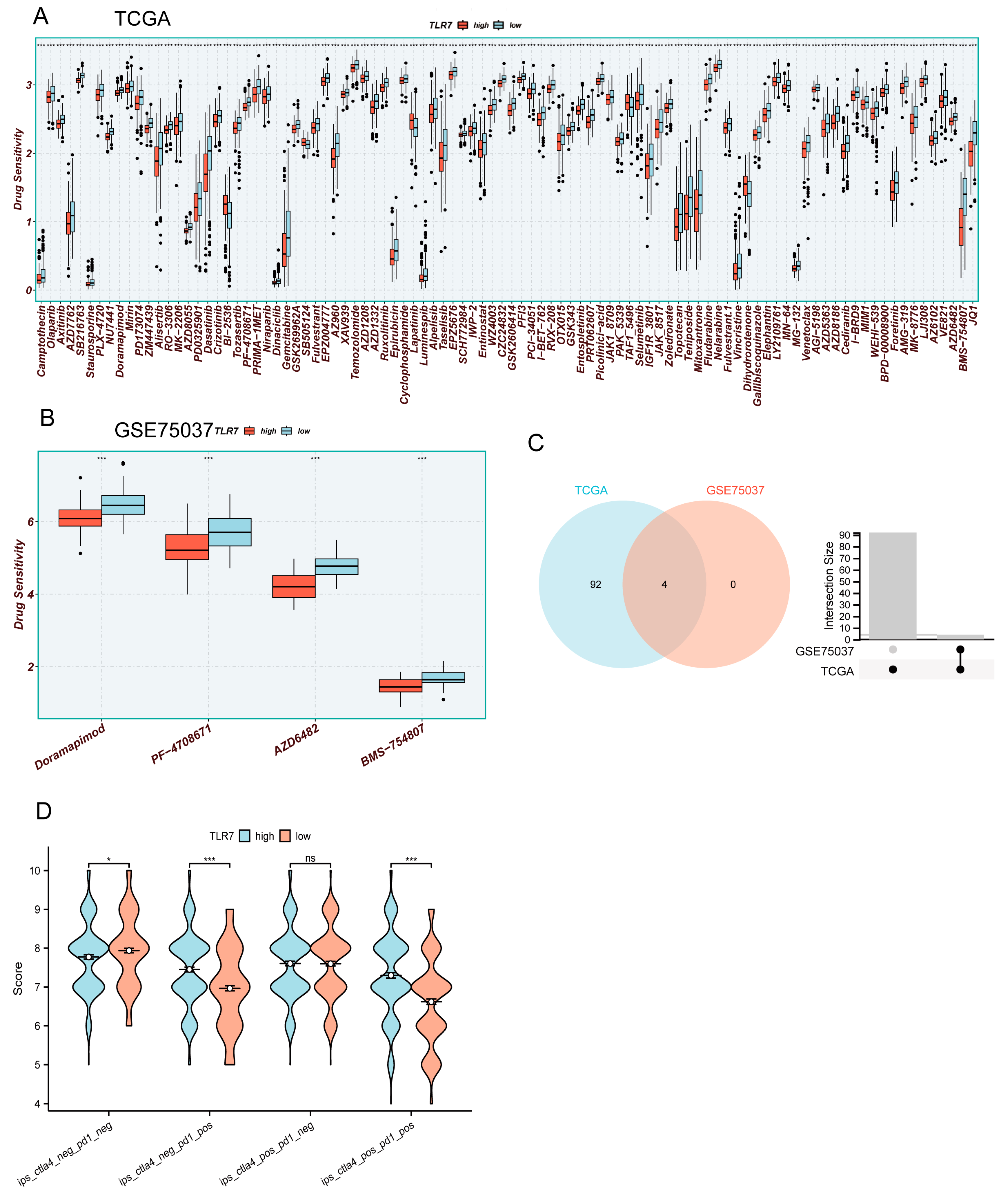 Biomedicines 13 00151 g007
