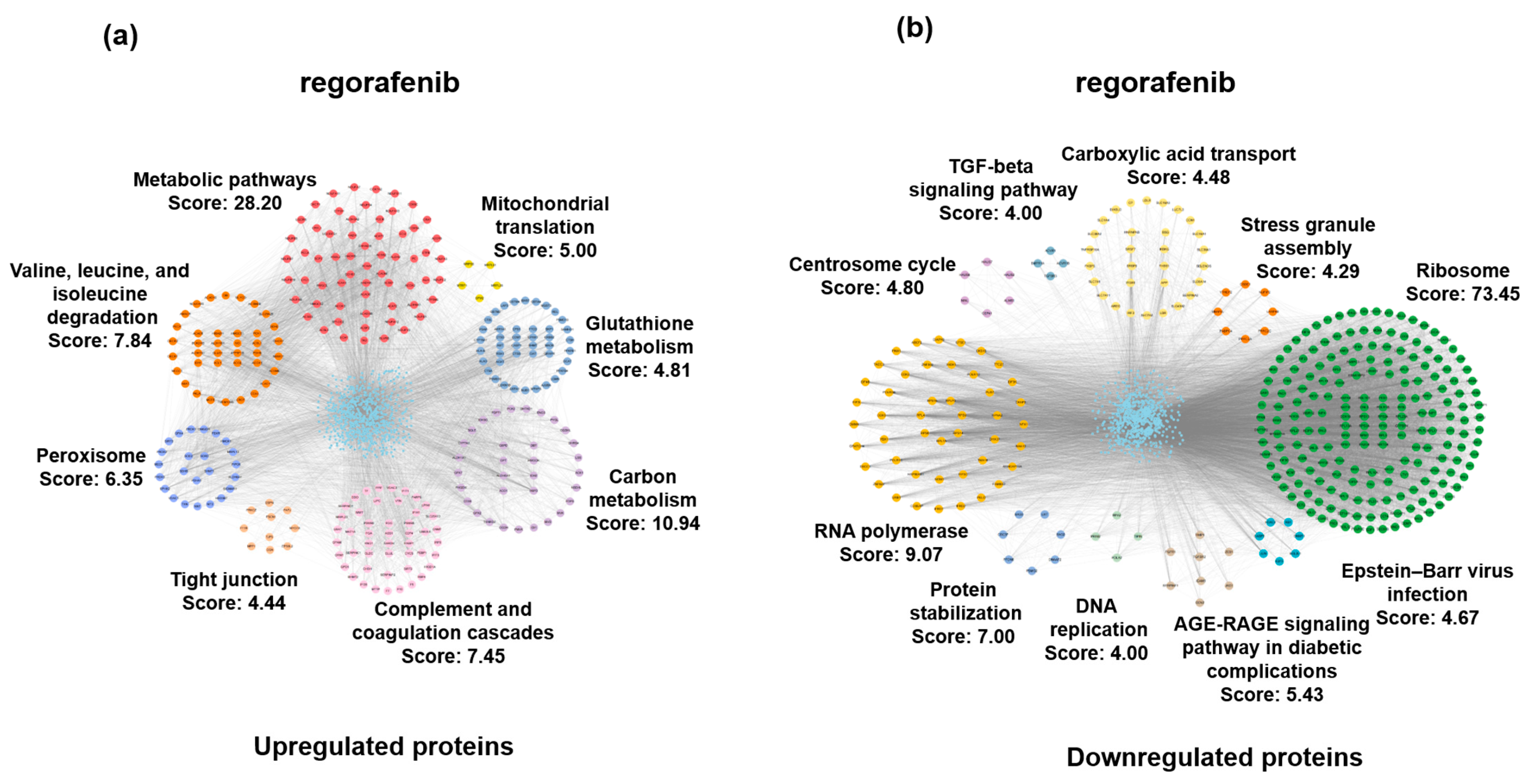 Biomedicines 13 00152 g003 Biomedicines 13 00152 g003