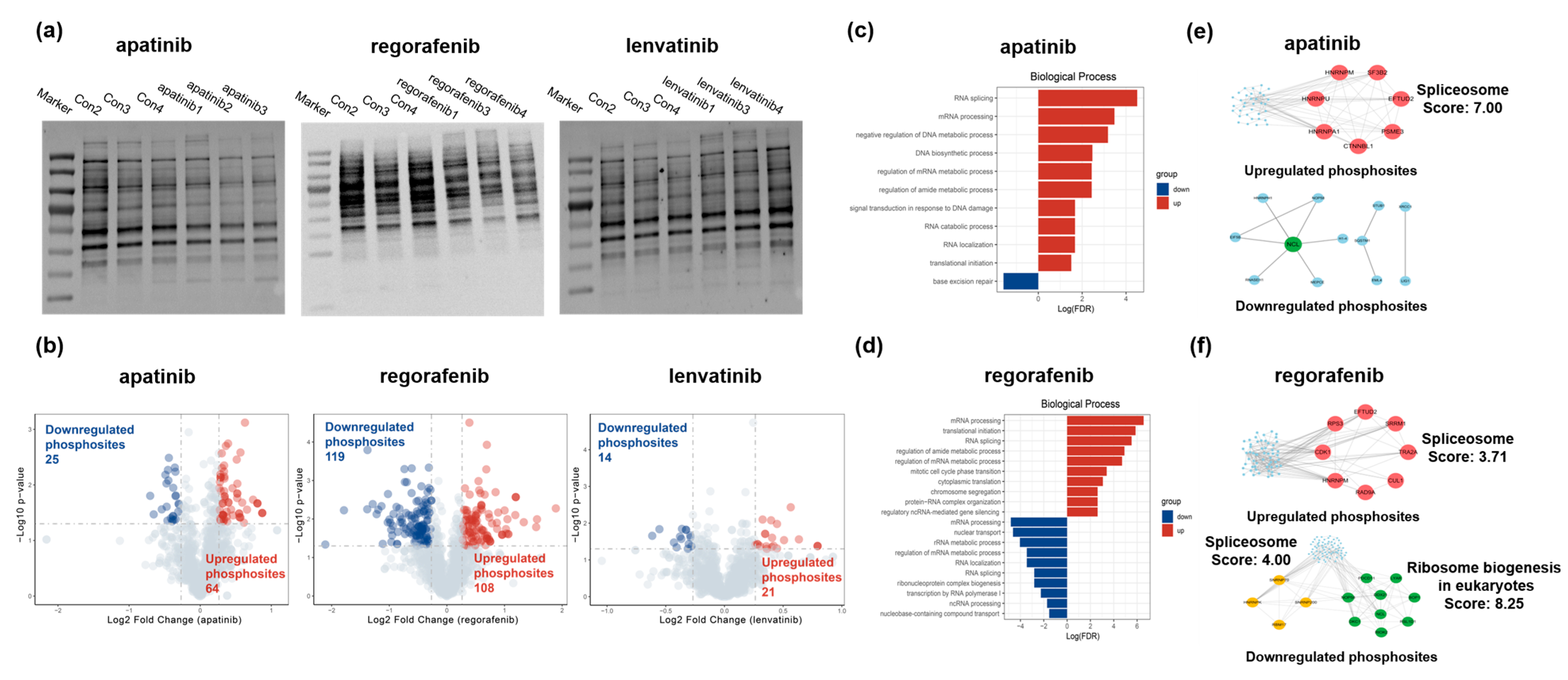 Biomedicines 13 00152 g005 Biomedicines 13 00152 g005