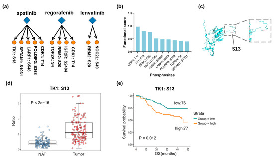 りお Proteomic Characterization of Liver Cancer Cells Treated