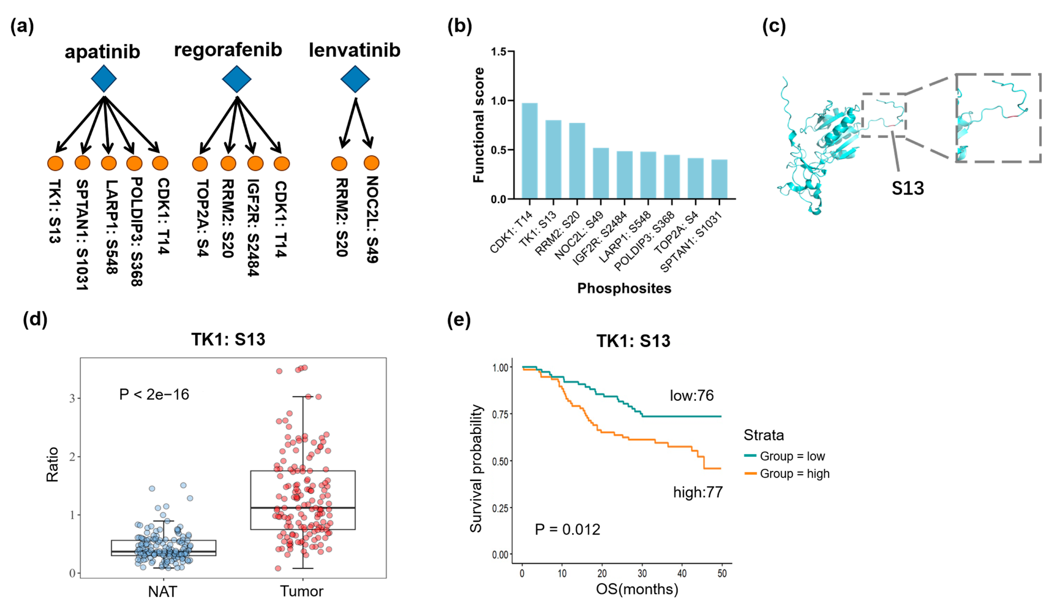 Biomedicines 13 00152 g006 Biomedicines 13 00152 g006