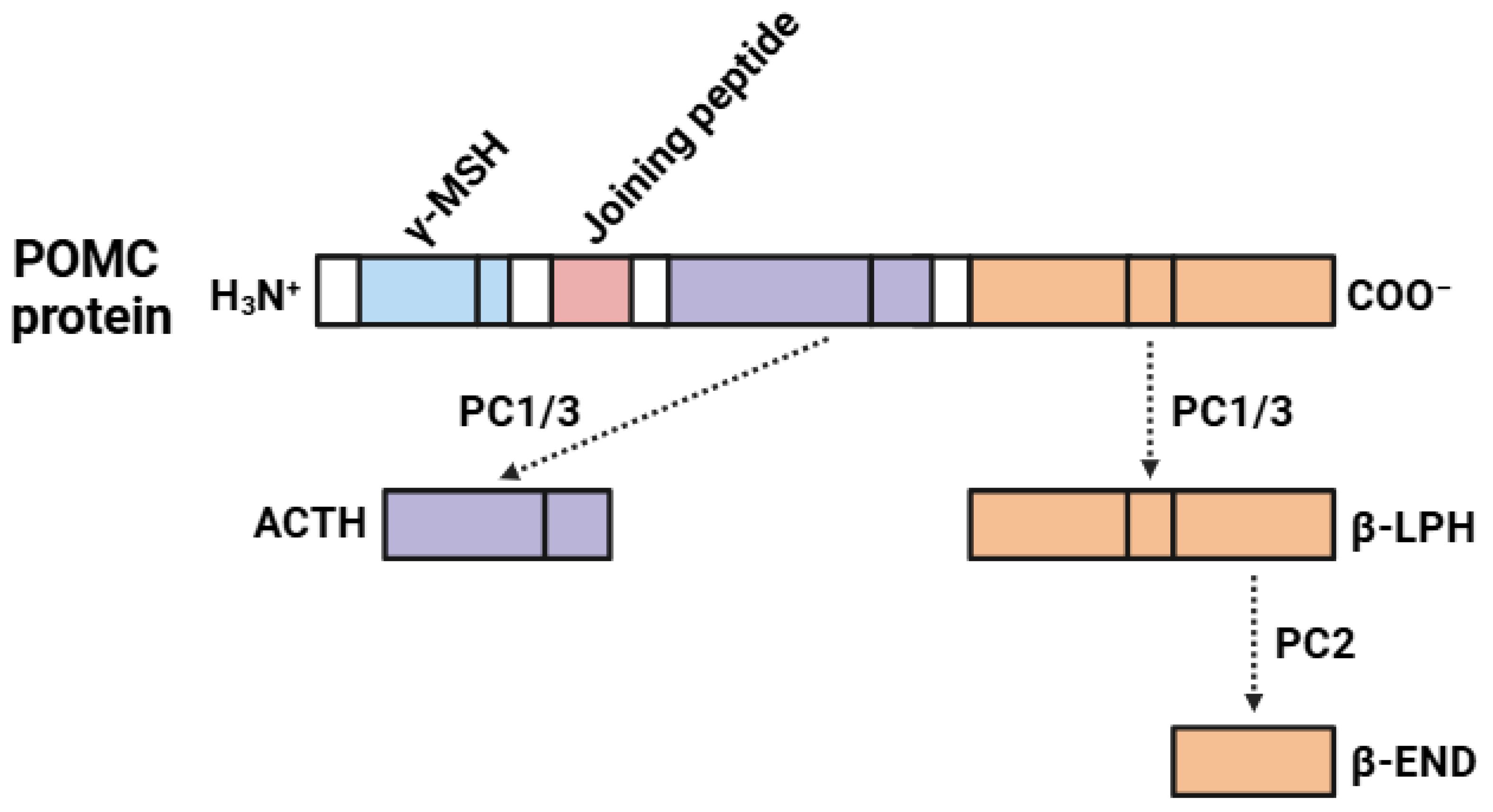 Biomedicines 13 00165 g002 Biomedicines 13 00165 g002