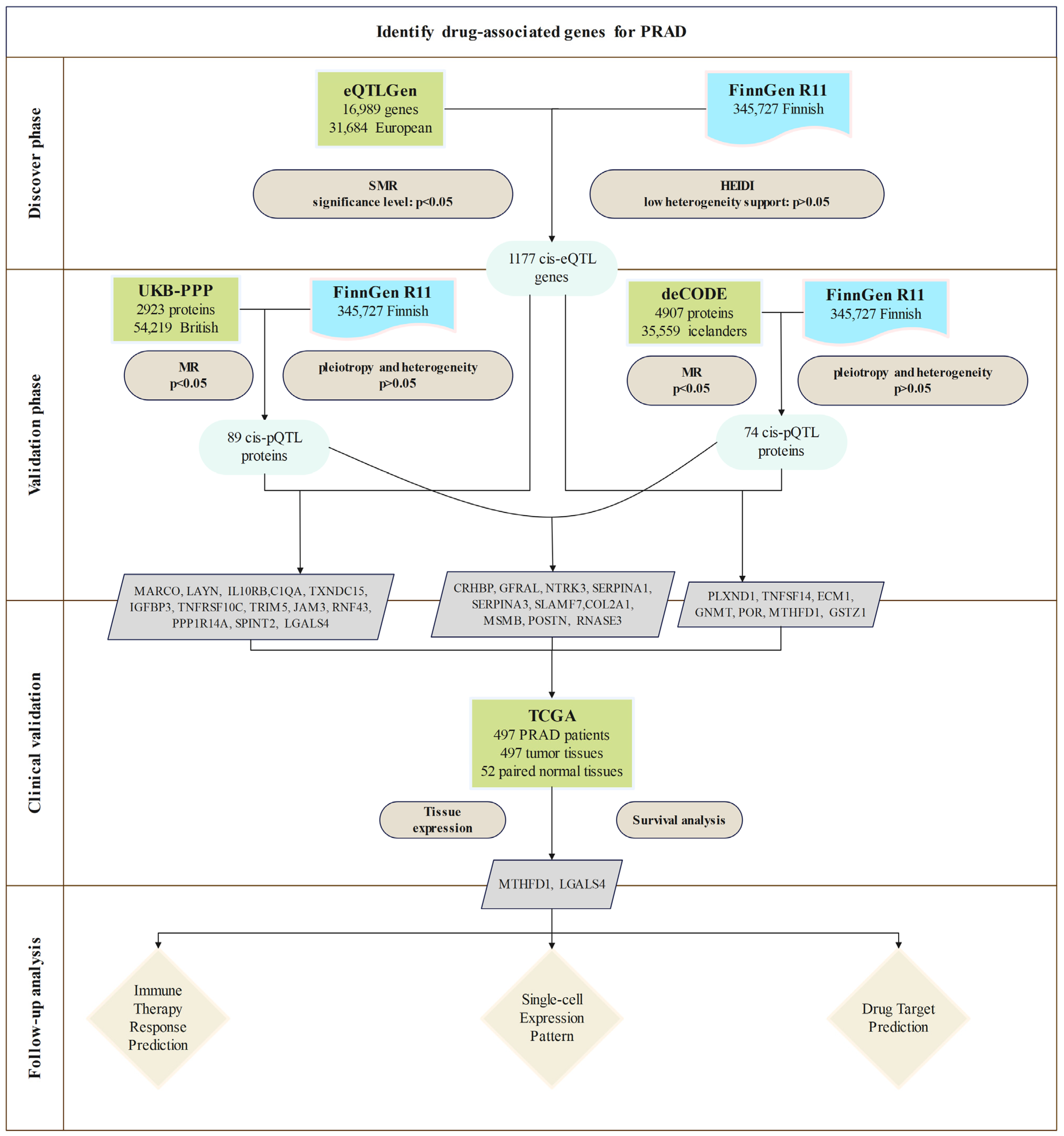 Biomedicines 13 00185 g001