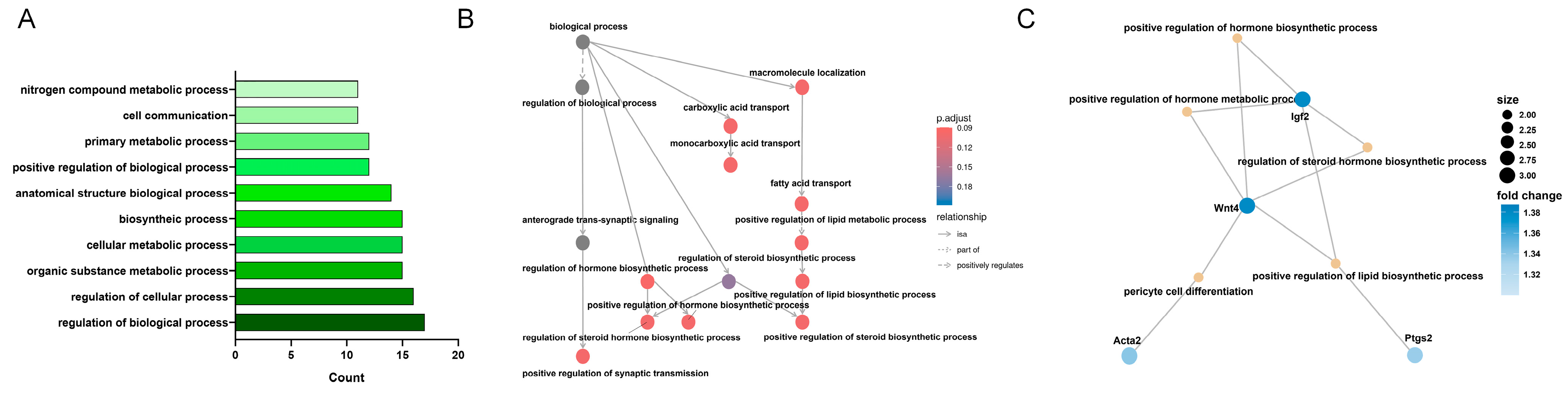 Biomedicines 13 00192 g005