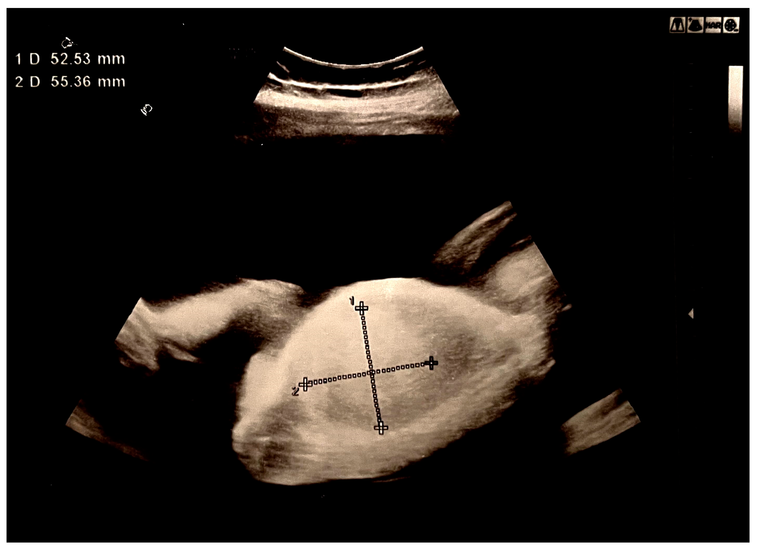 Biomedicines 13 00196 g001