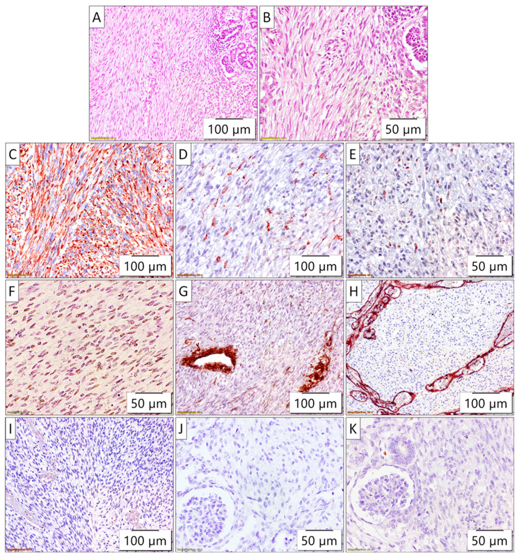 Biomedicines 13 00196 g003