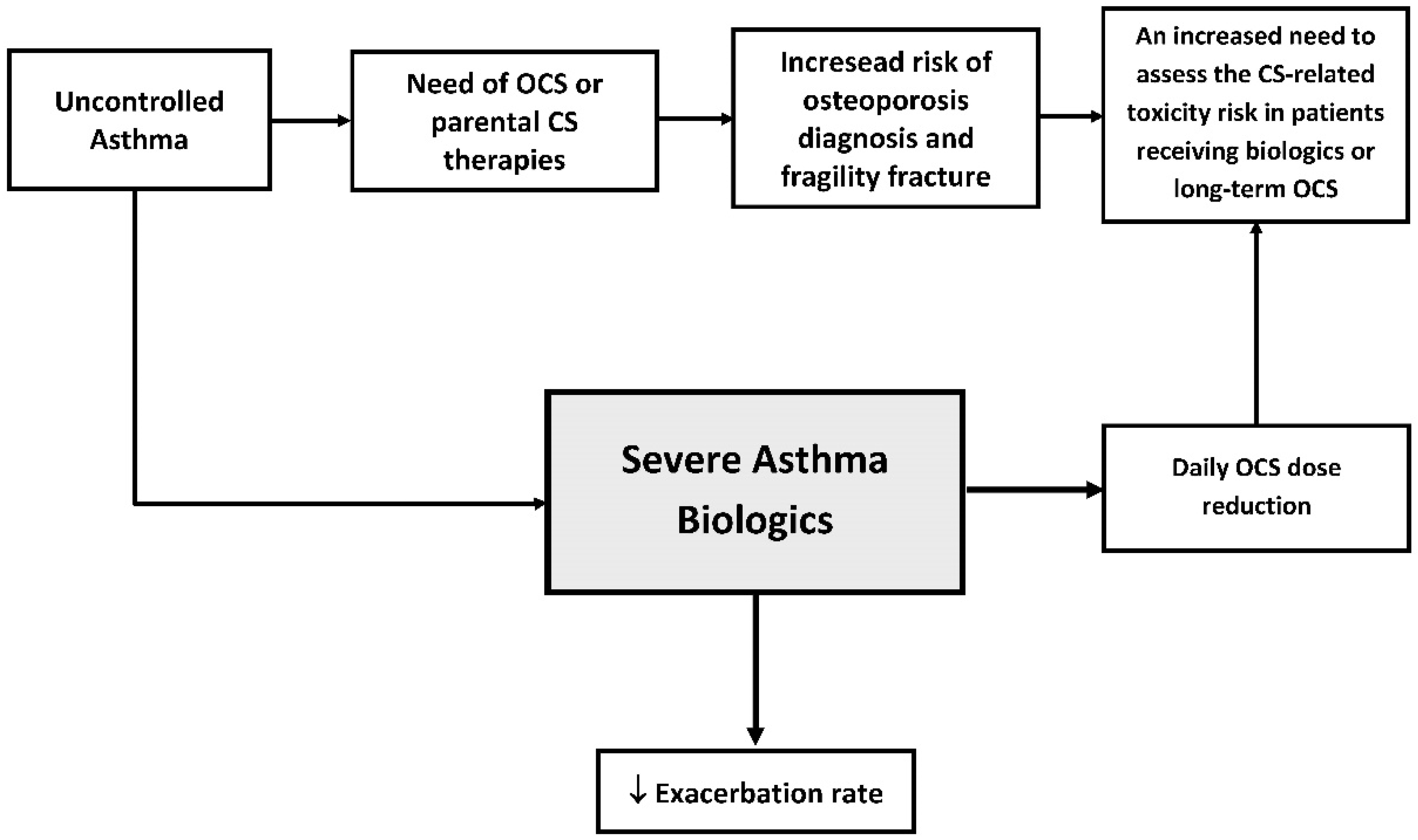 Biomedicines 13 00197 g001