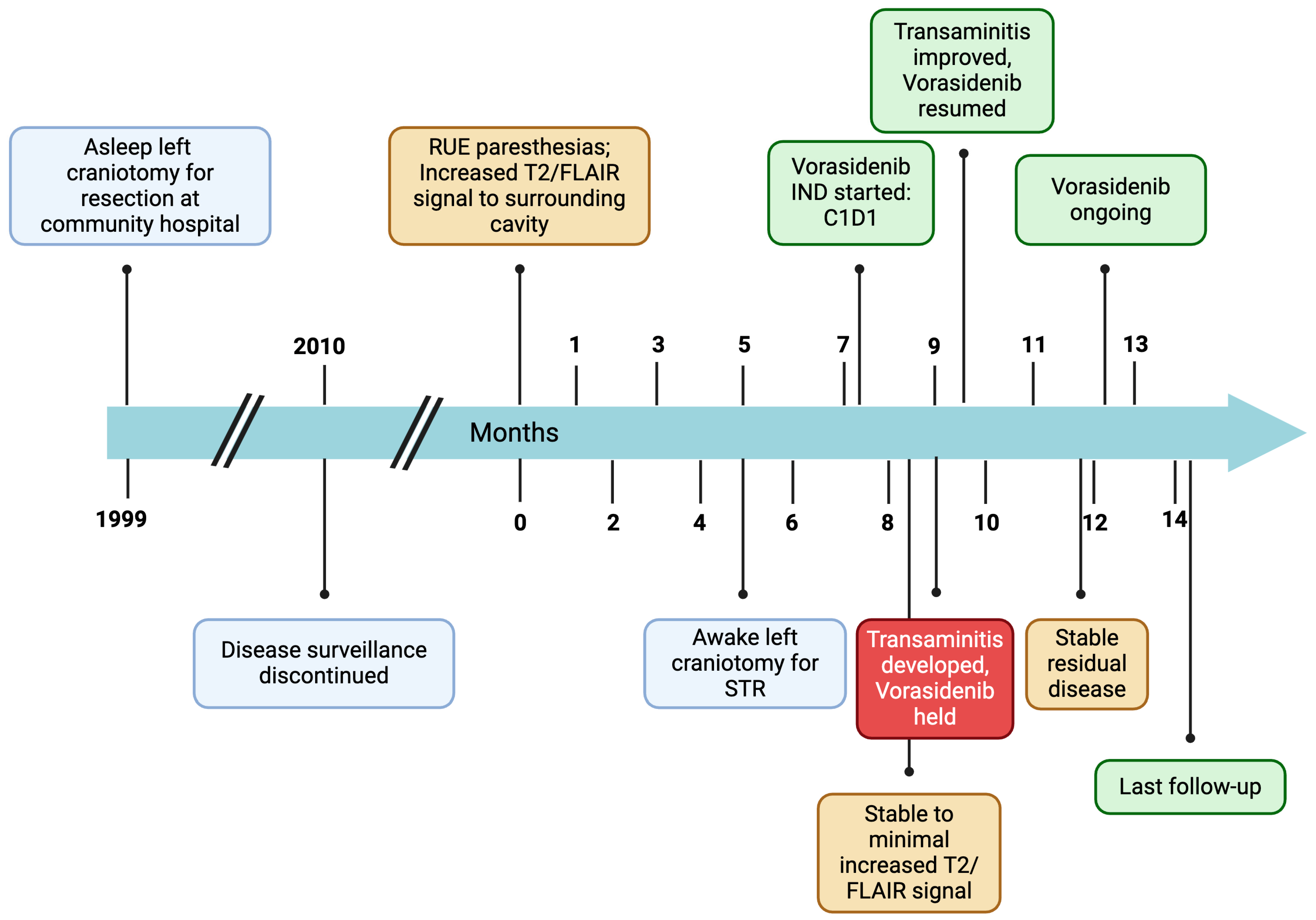Biomedicines 13 00201 g001