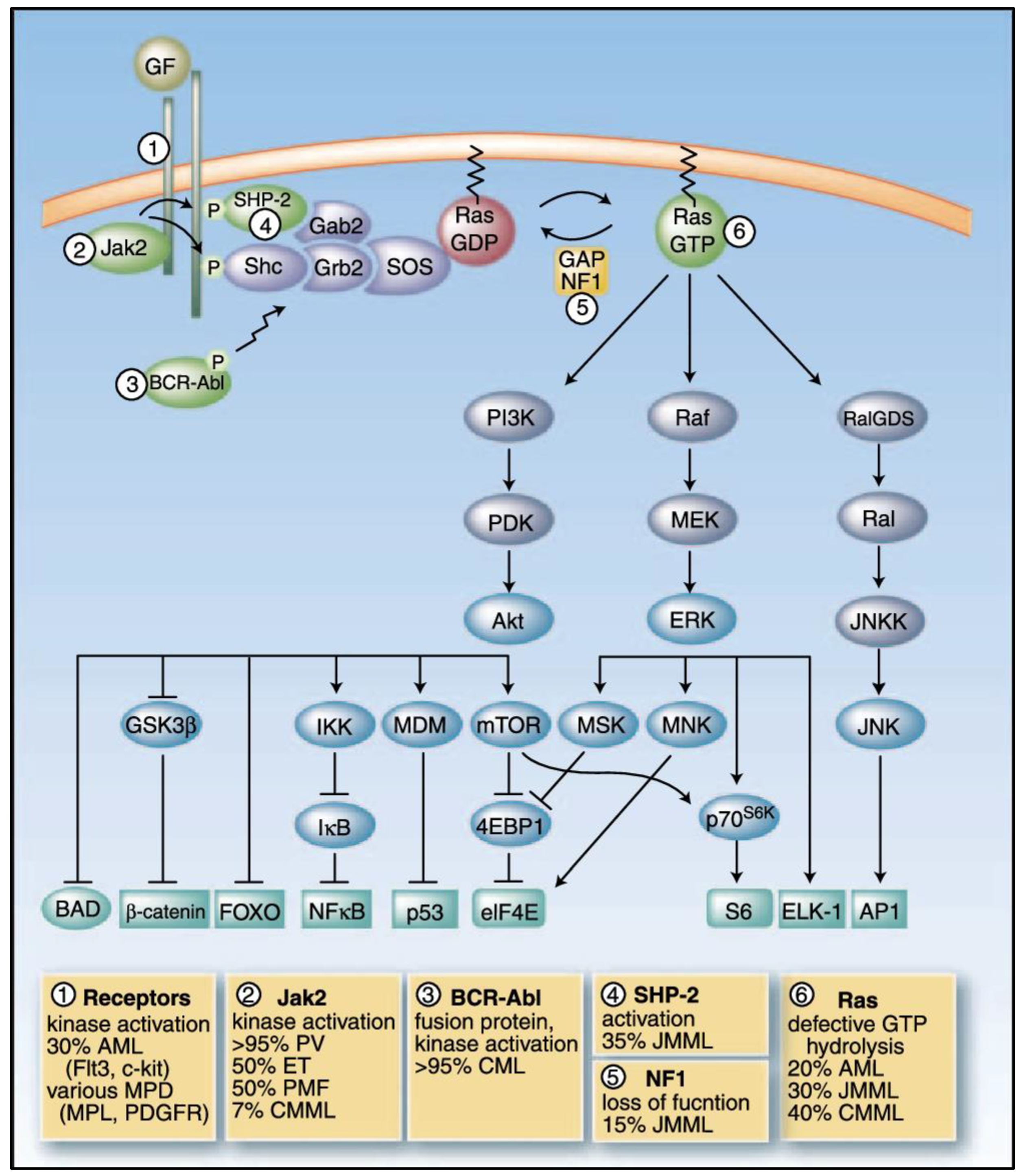 Biomedicines 13 00202 g001