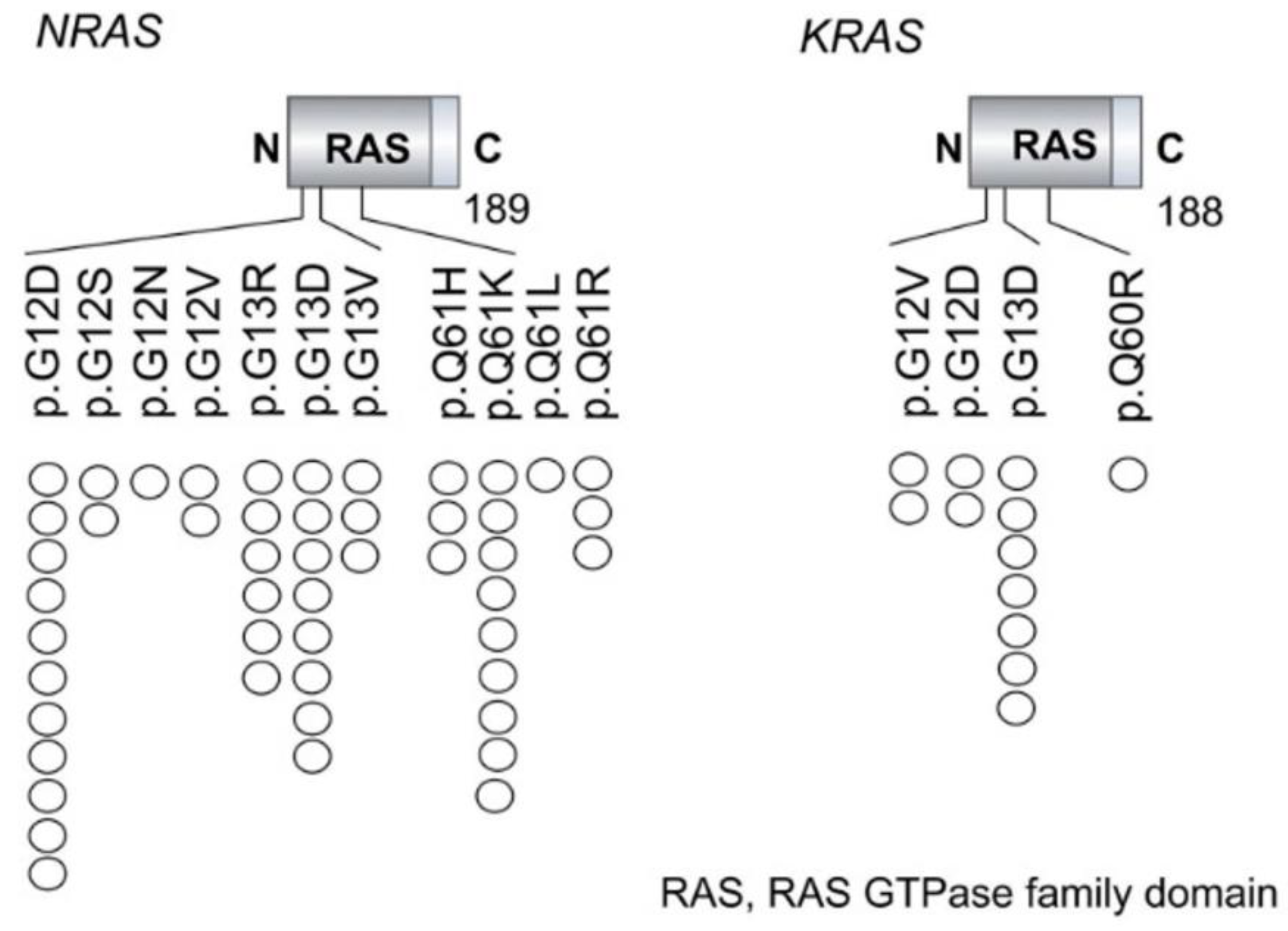 Biomedicines 13 00202 g003