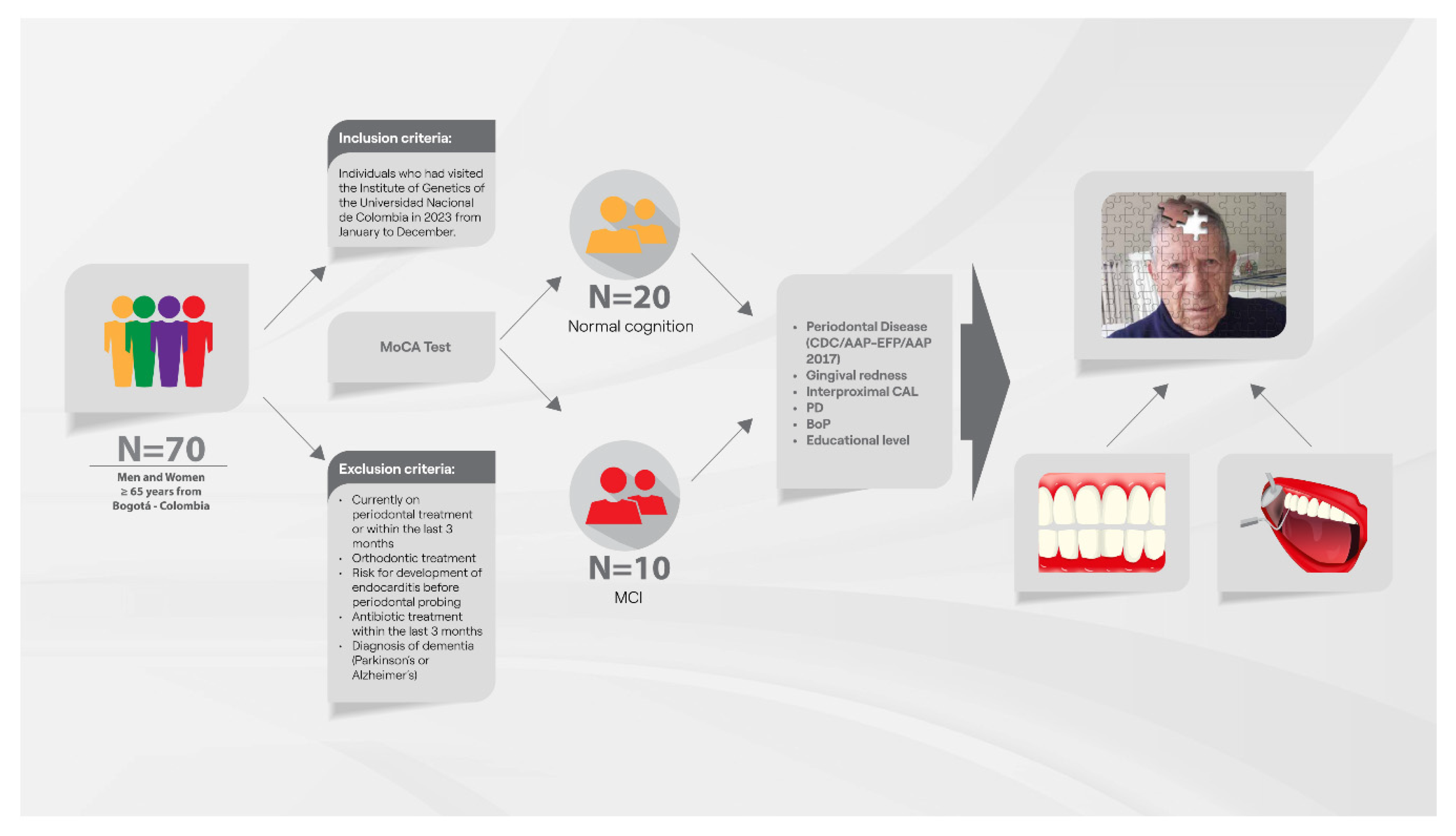 Biomedicines 13 00205 g001 Biomedicines 13 00205 g001