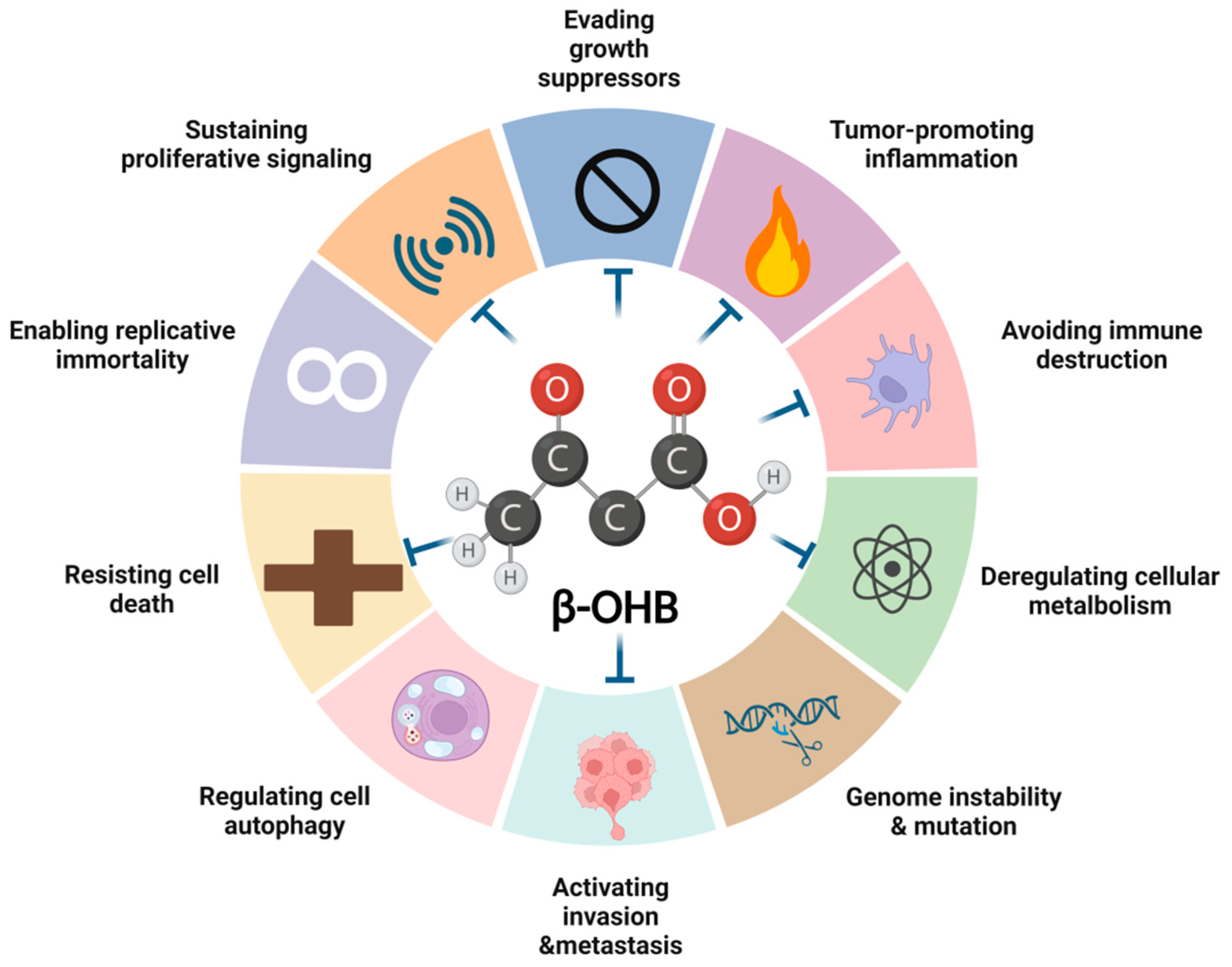 Biomedicines 13 00210 g002 Biomedicines 13 00210 g002