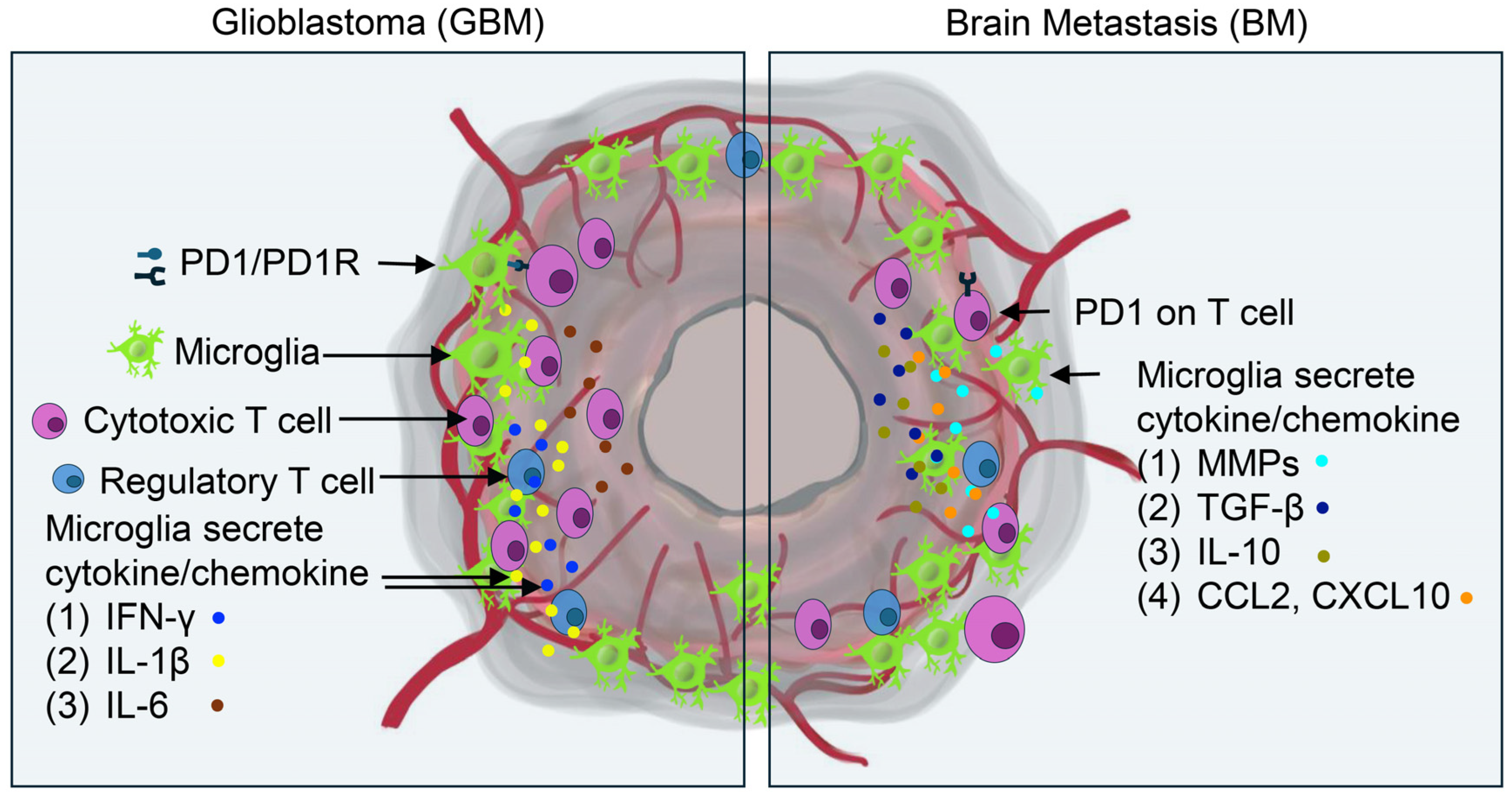 Biomedicines 13 00216 g001 Biomedicines 13 00216 g001