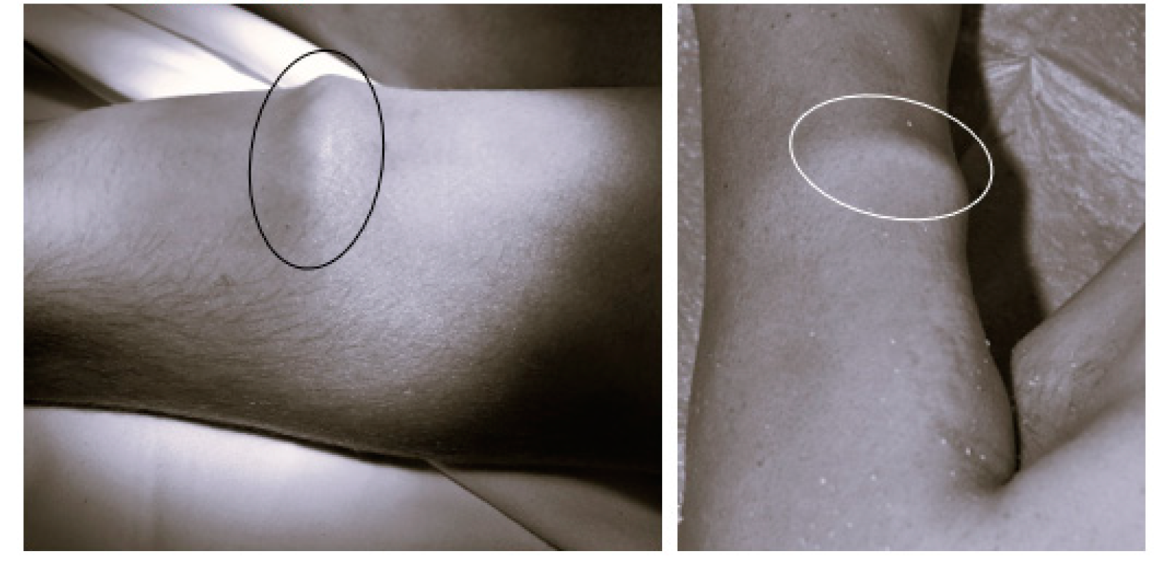 Biomedicines 13 00221 g001