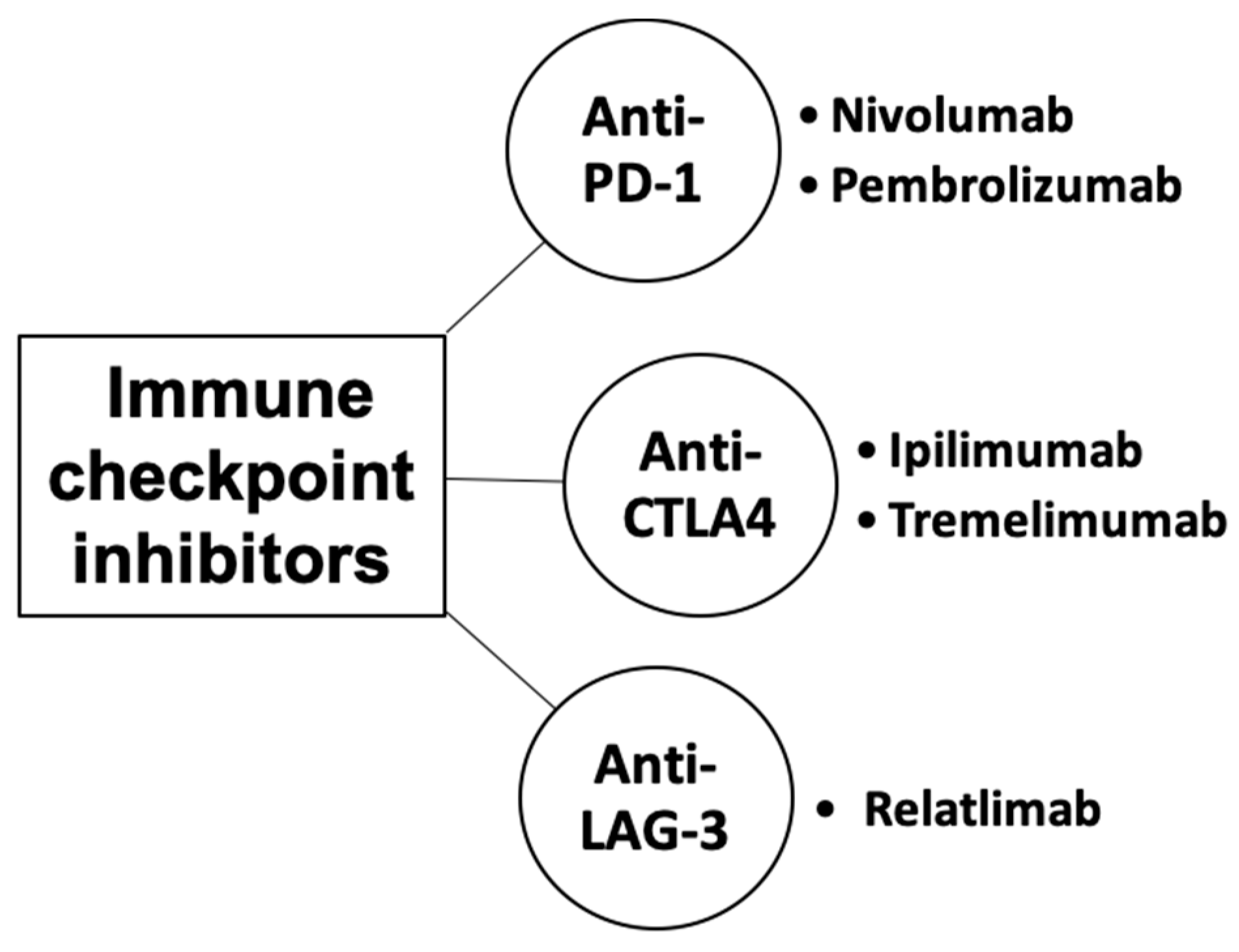 Biomedicines 13 00225 g003