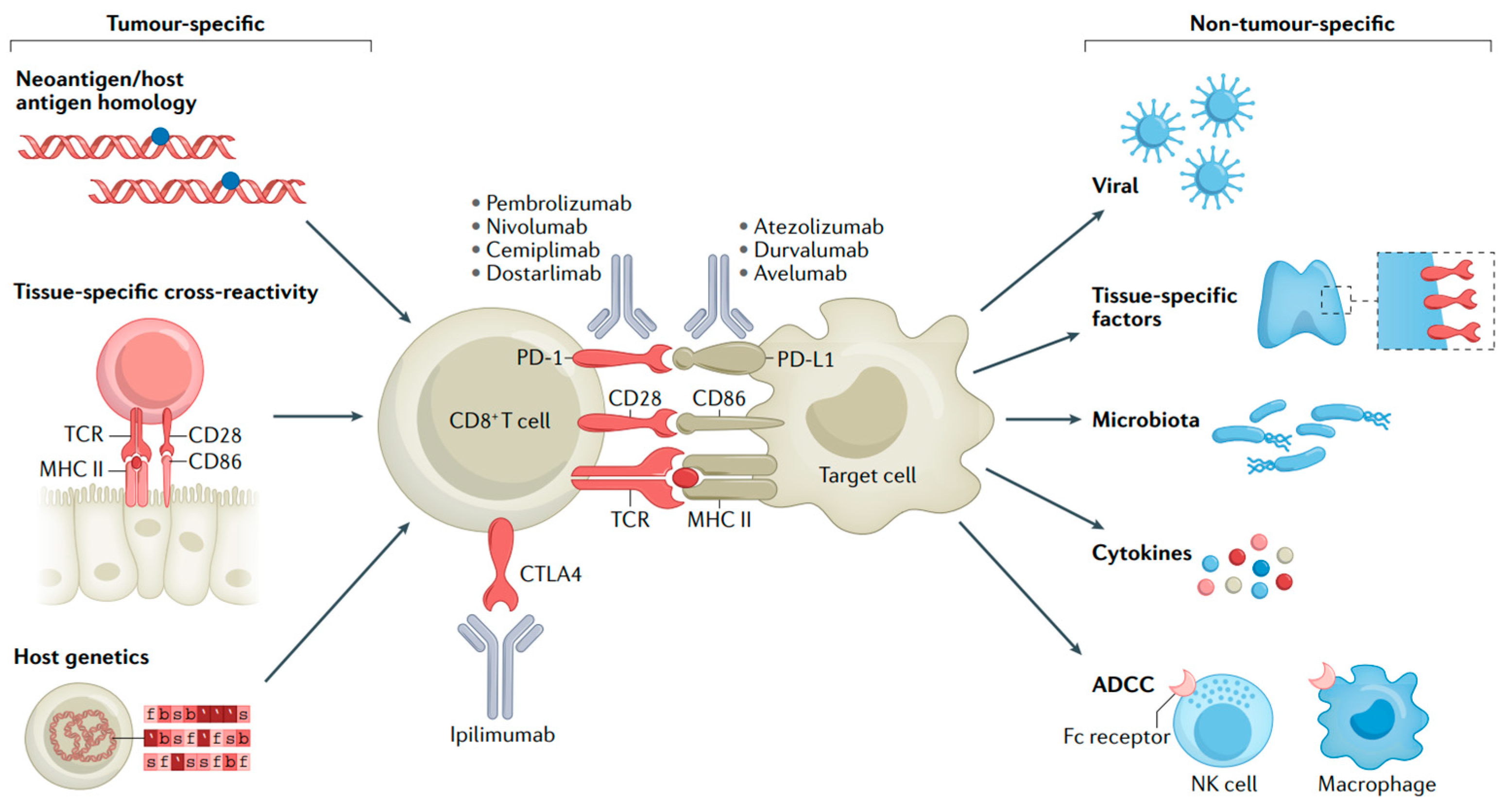 Biomedicines 13 00225 g004