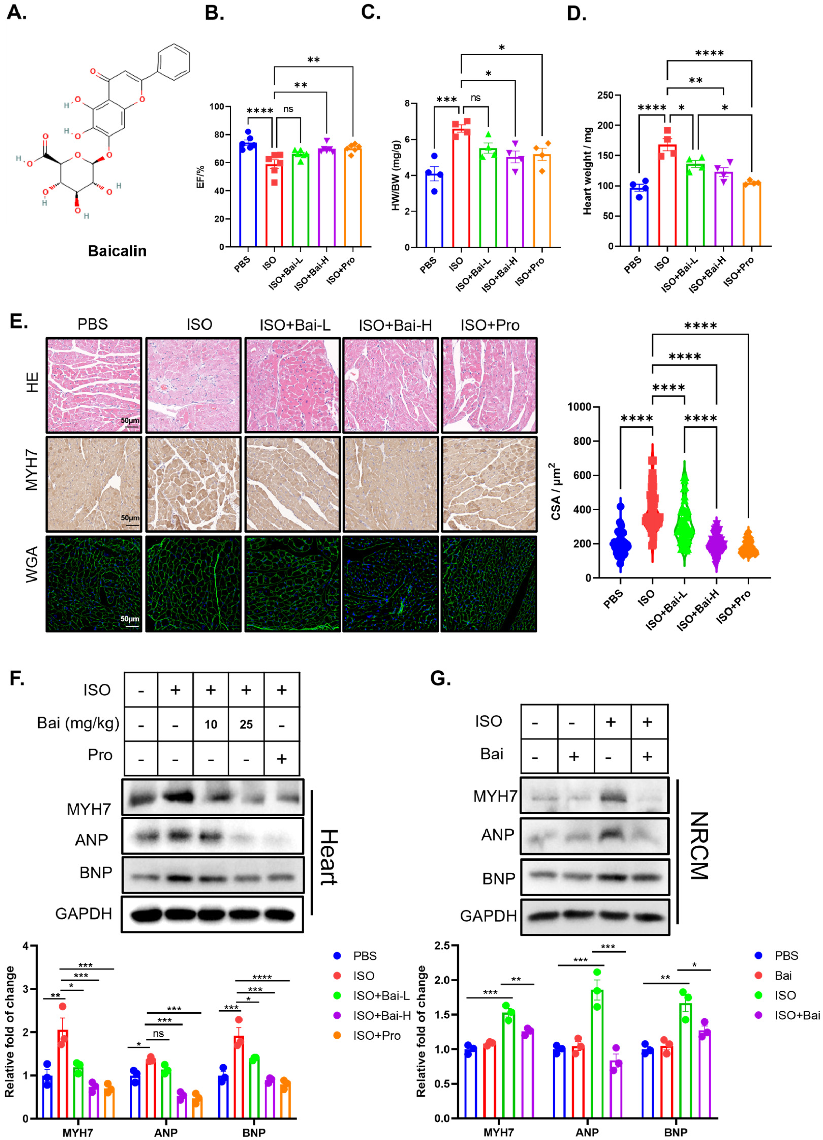 Biomedicines 13 00232 g001
