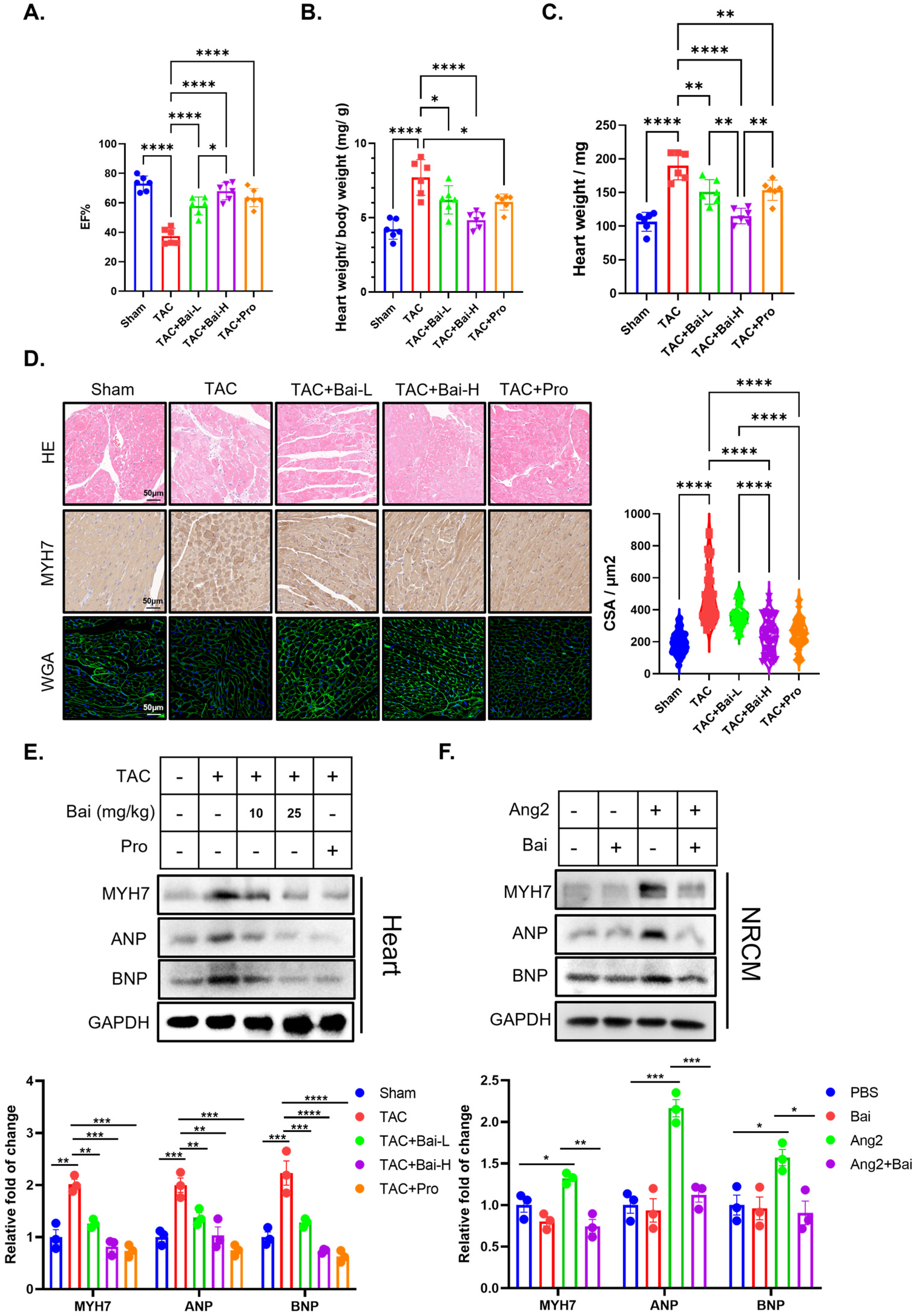 Biomedicines 13 00232 g002
