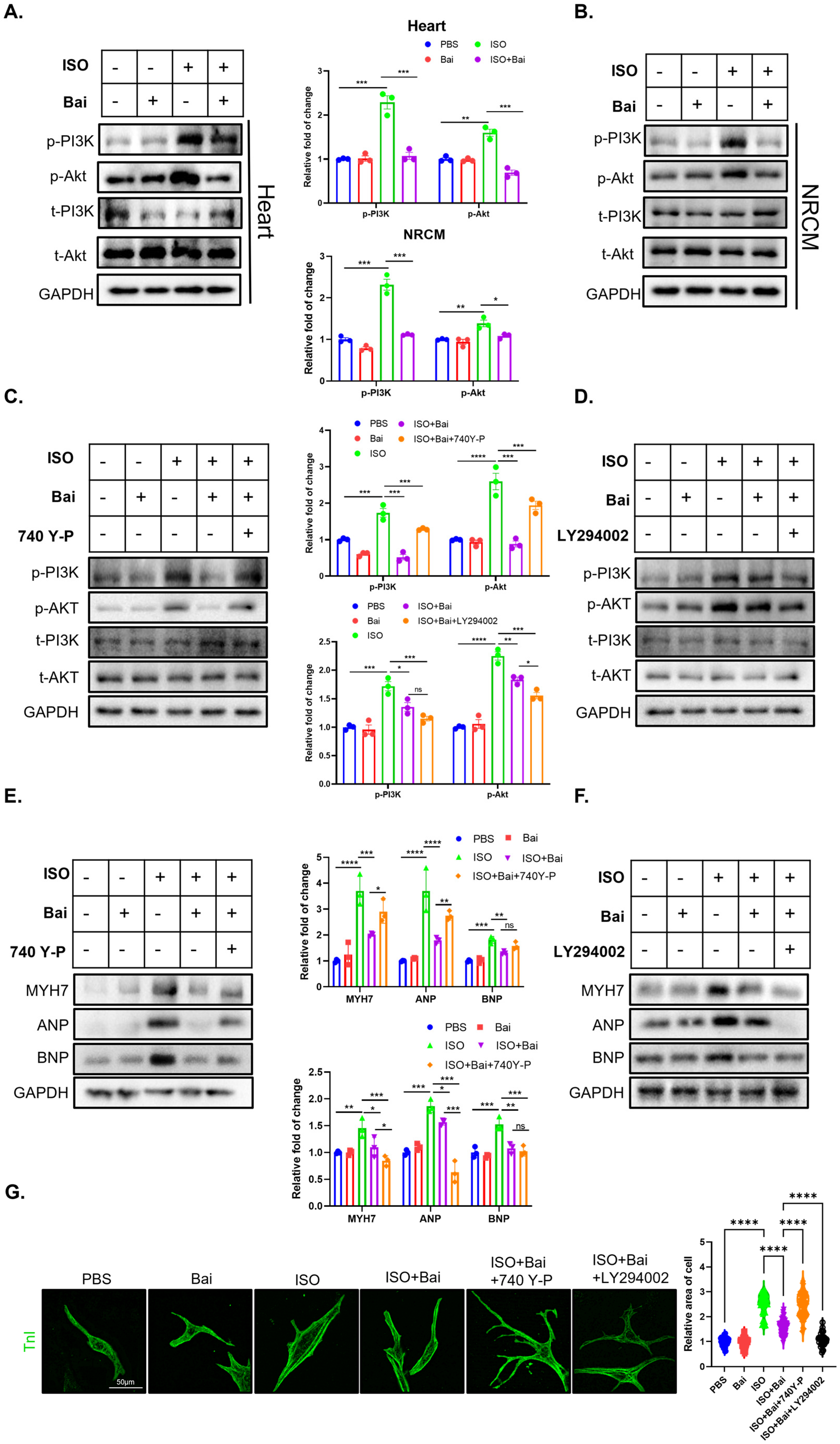 Biomedicines 13 00232 g004