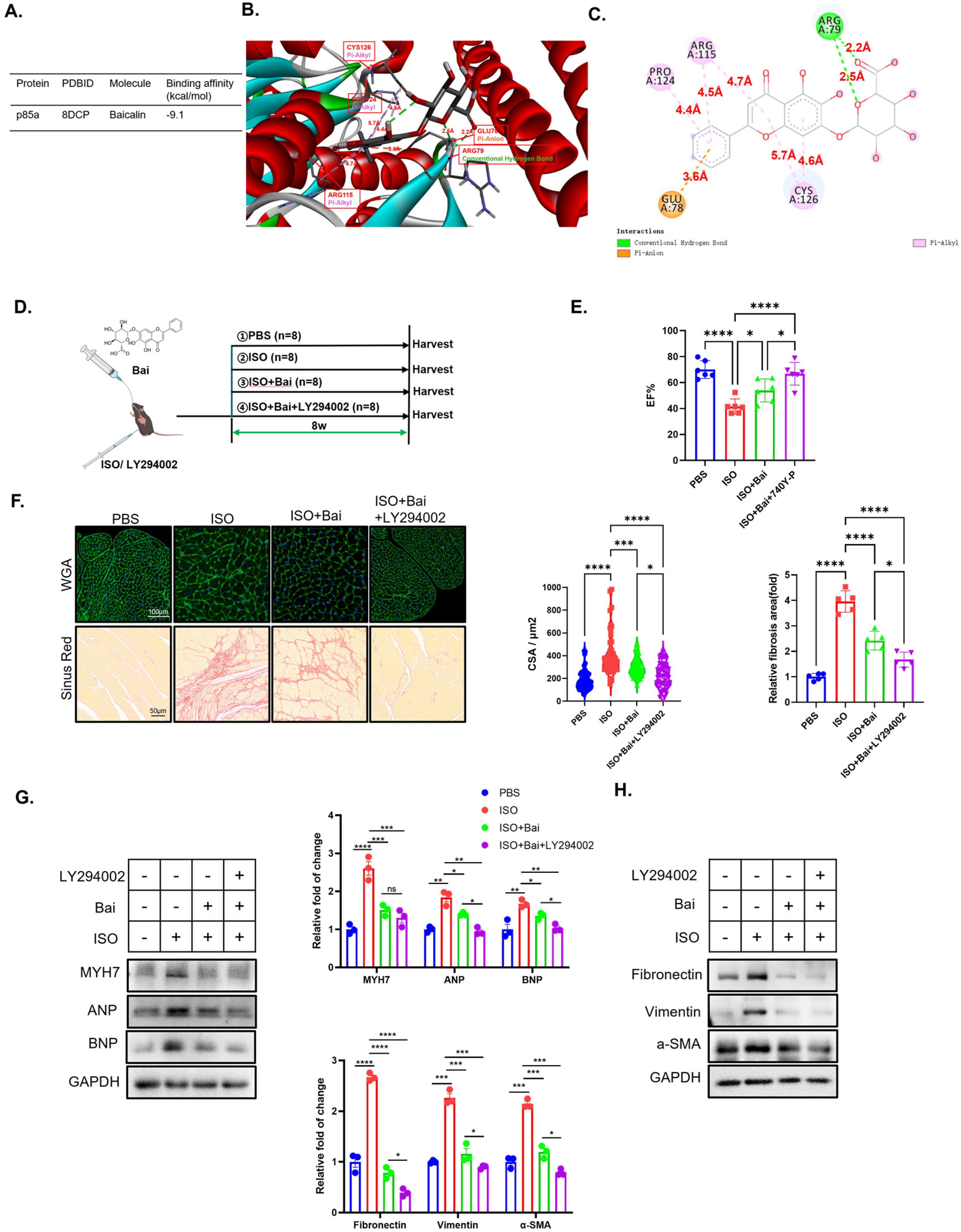 Biomedicines 13 00232 g007