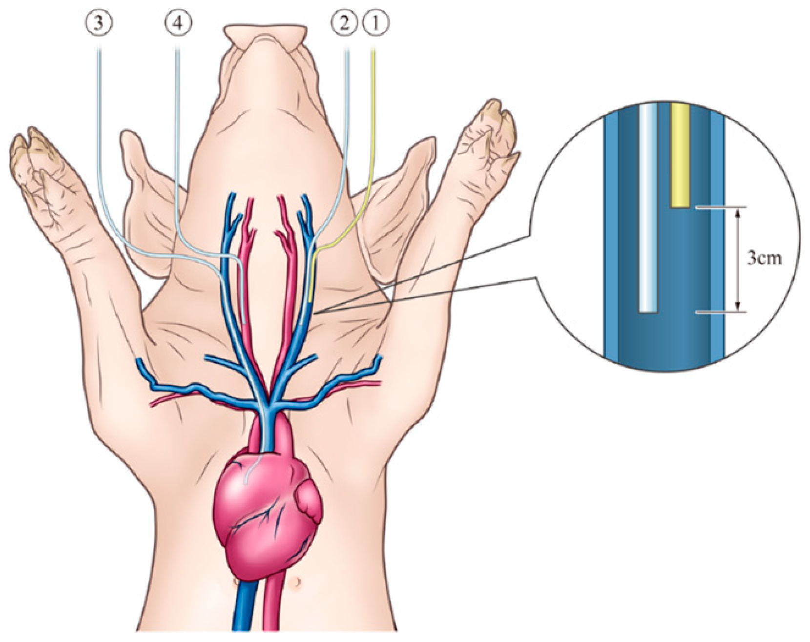 Biomedicines 13 00234 g002