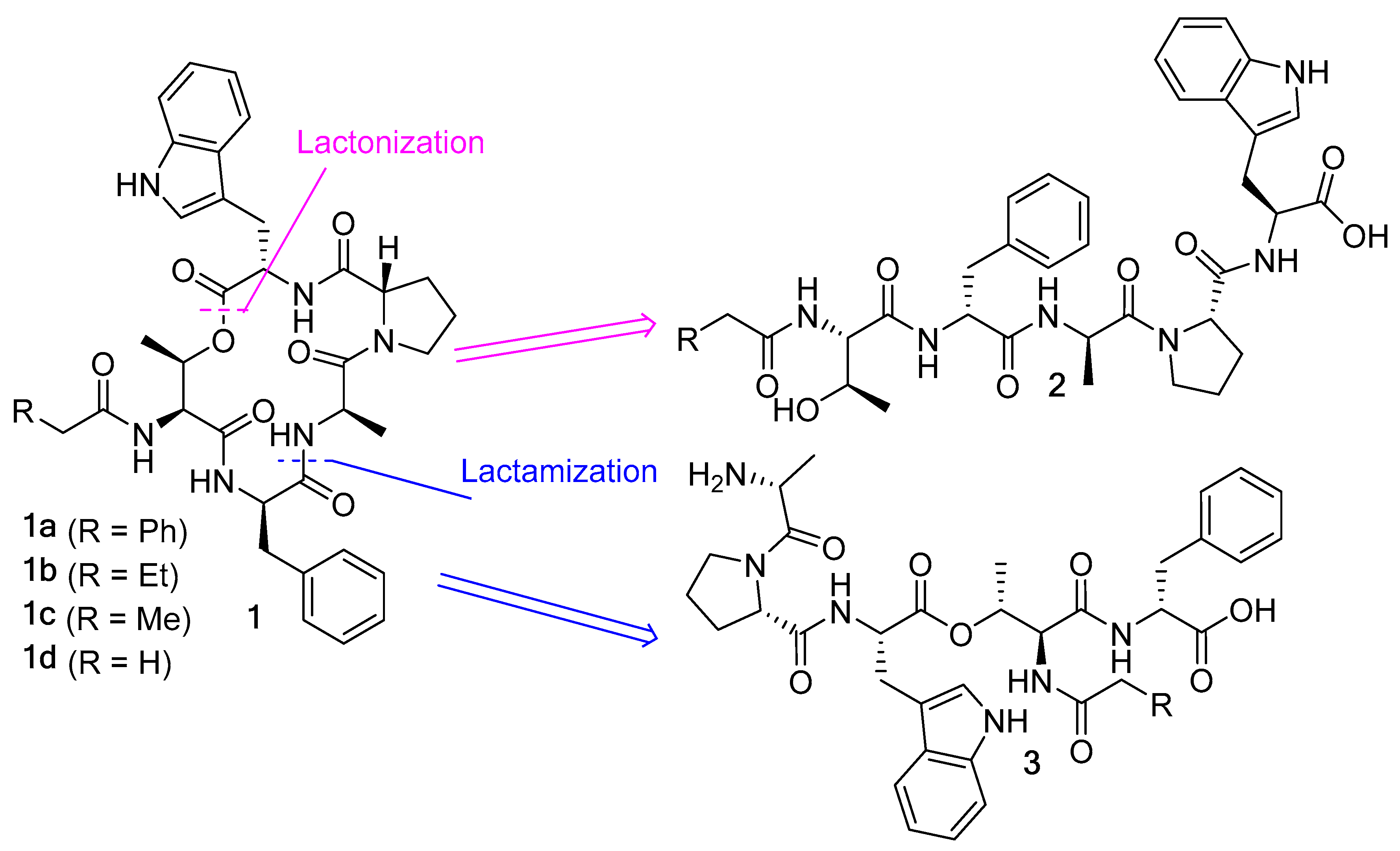 Biomedicines 13 00240 g001