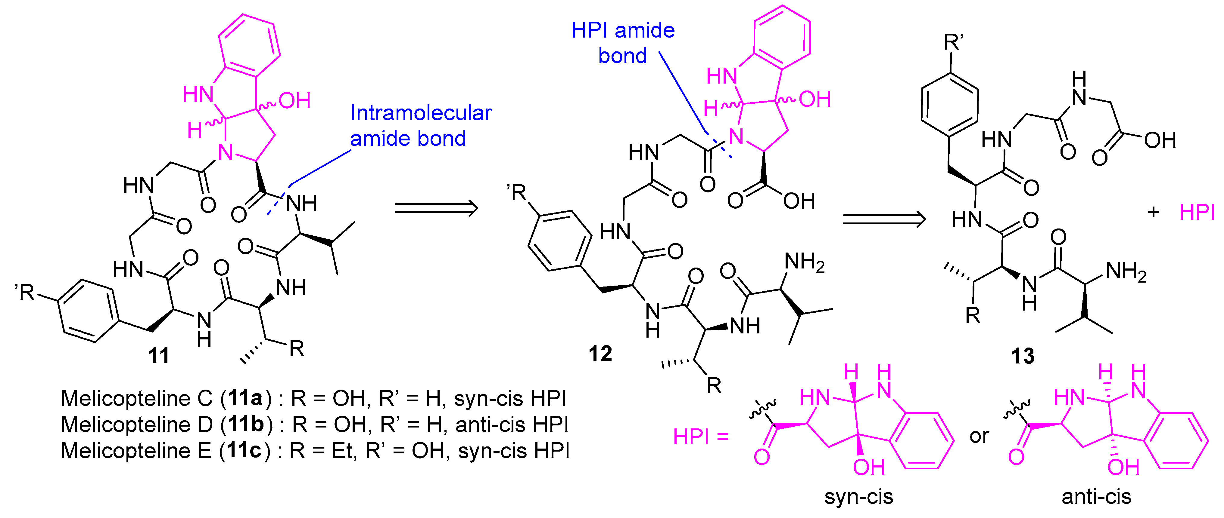 Biomedicines 13 00240 g004