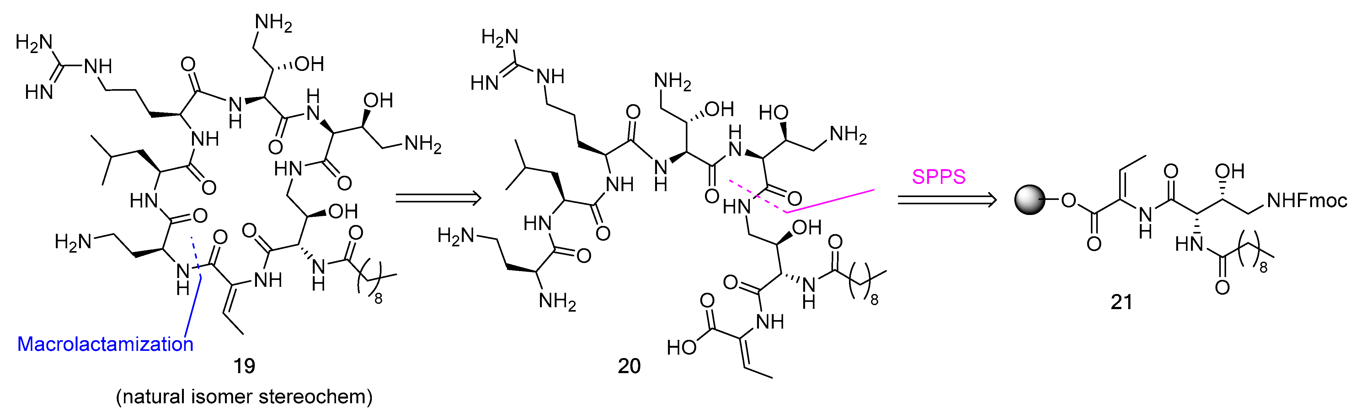 Biomedicines 13 00240 g006