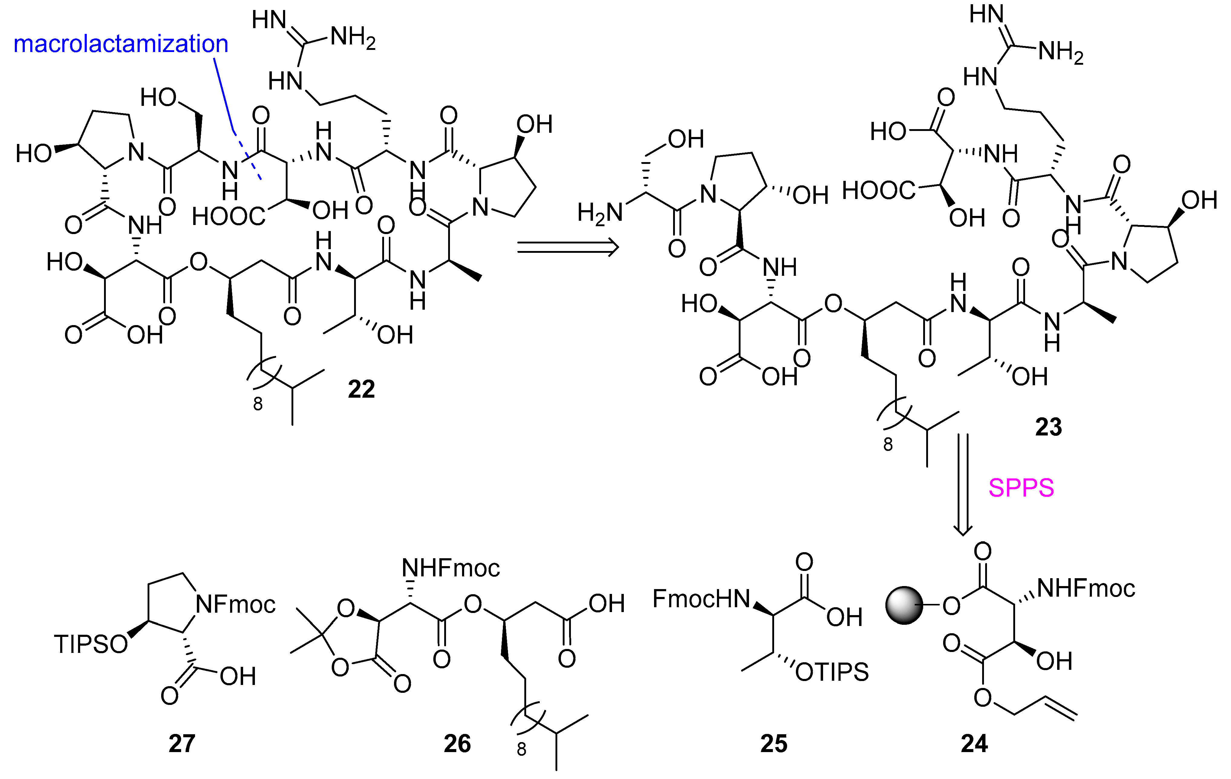 Biomedicines 13 00240 g007