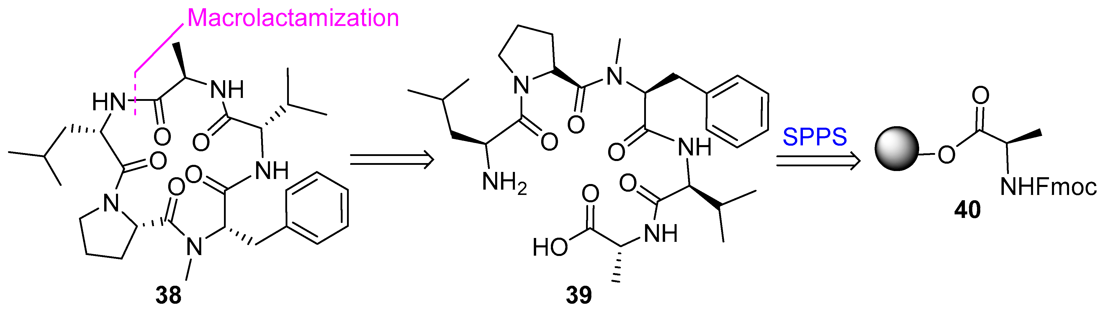 Biomedicines 13 00240 g010