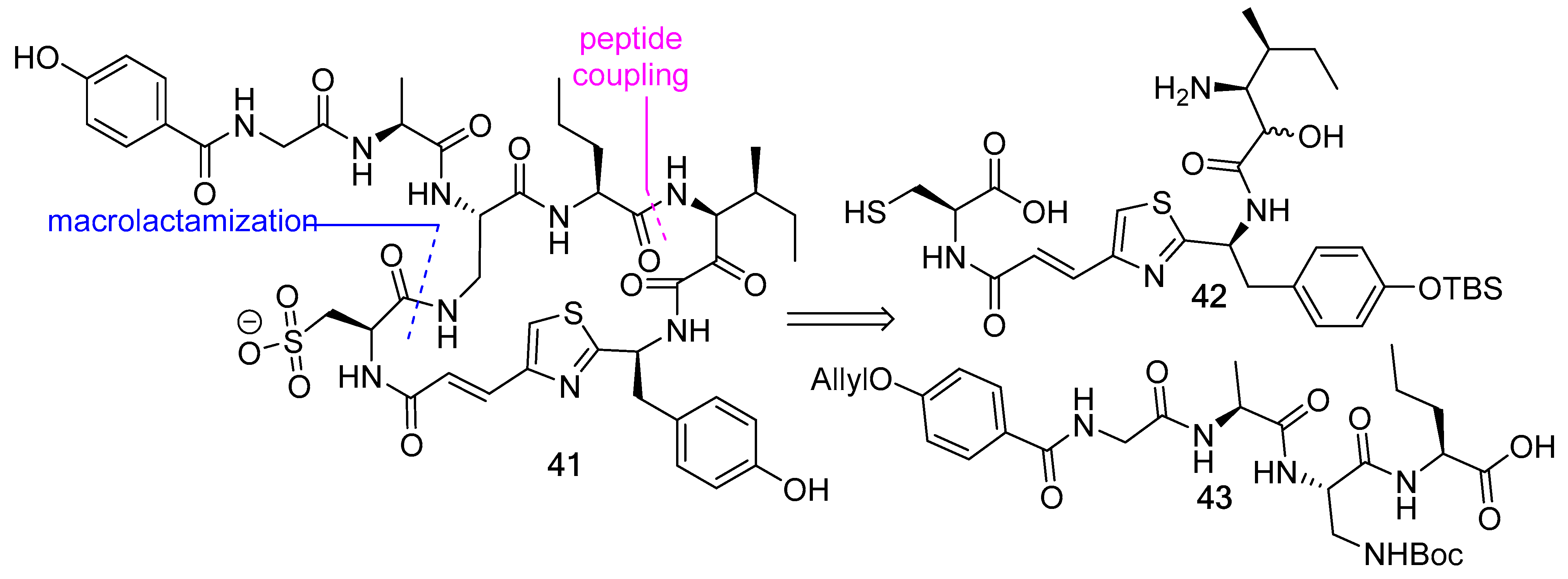 Biomedicines 13 00240 g011