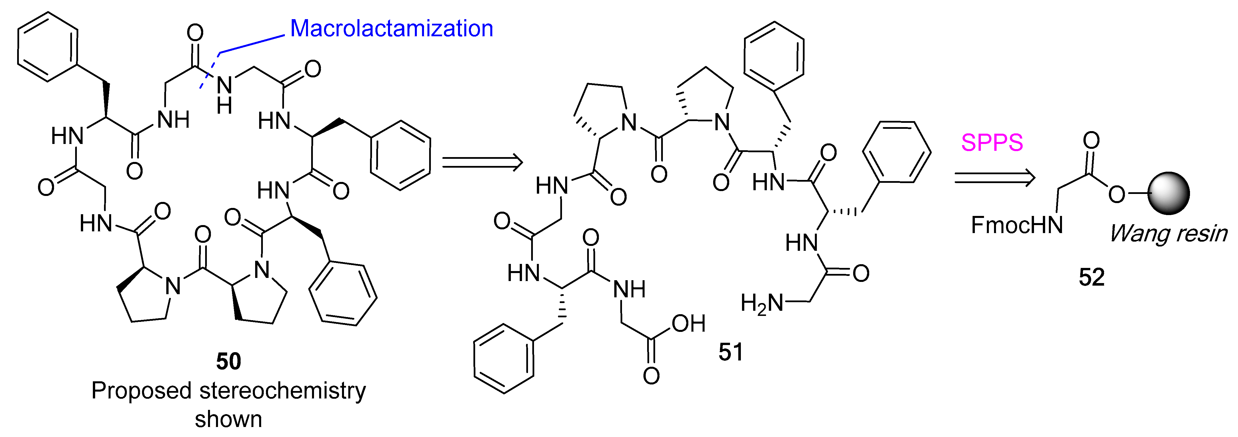 Biomedicines 13 00240 g013