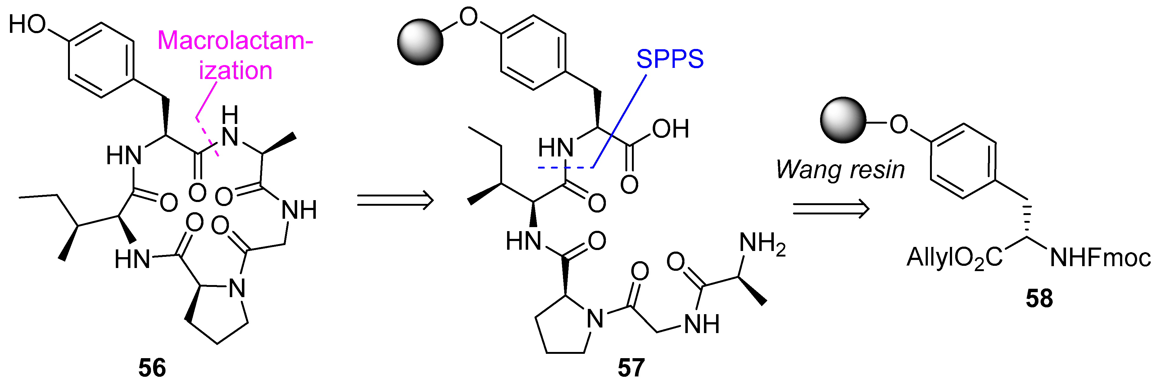Biomedicines 13 00240 g015