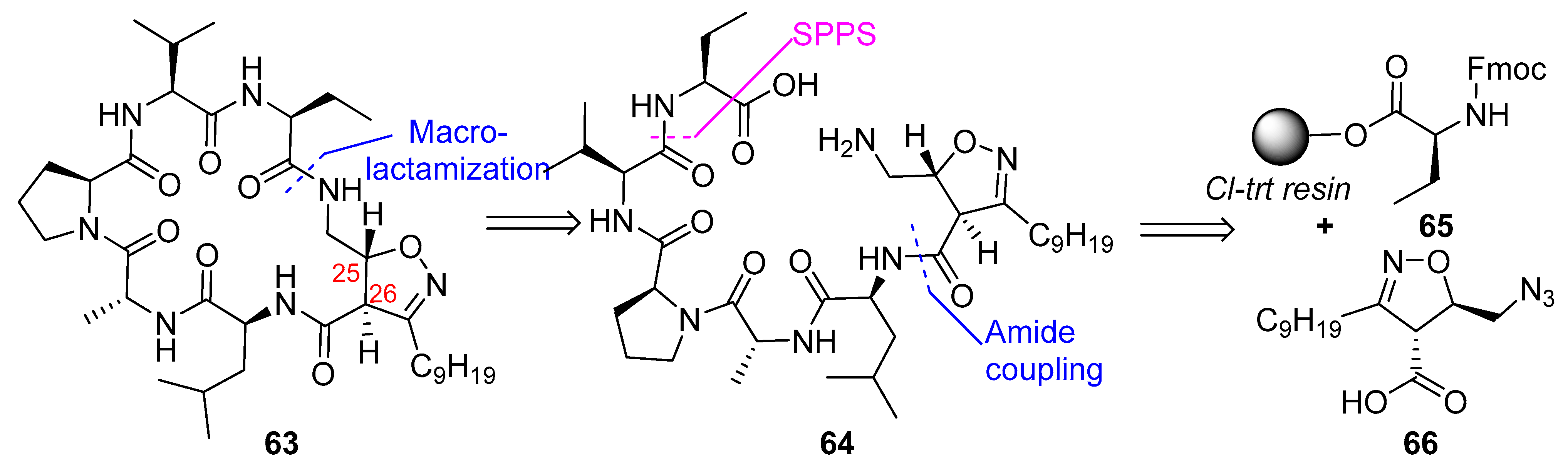 Biomedicines 13 00240 g017