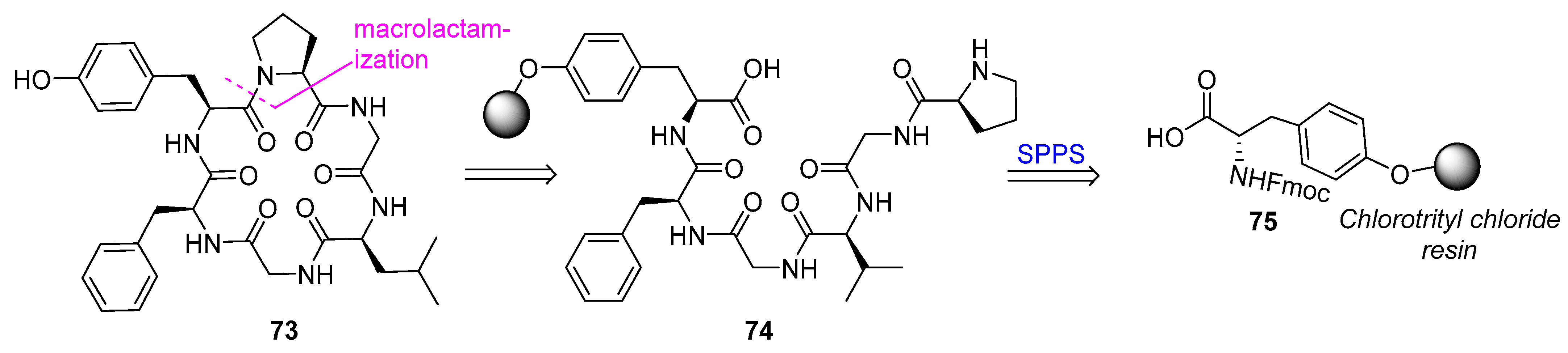 Biomedicines 13 00240 g020