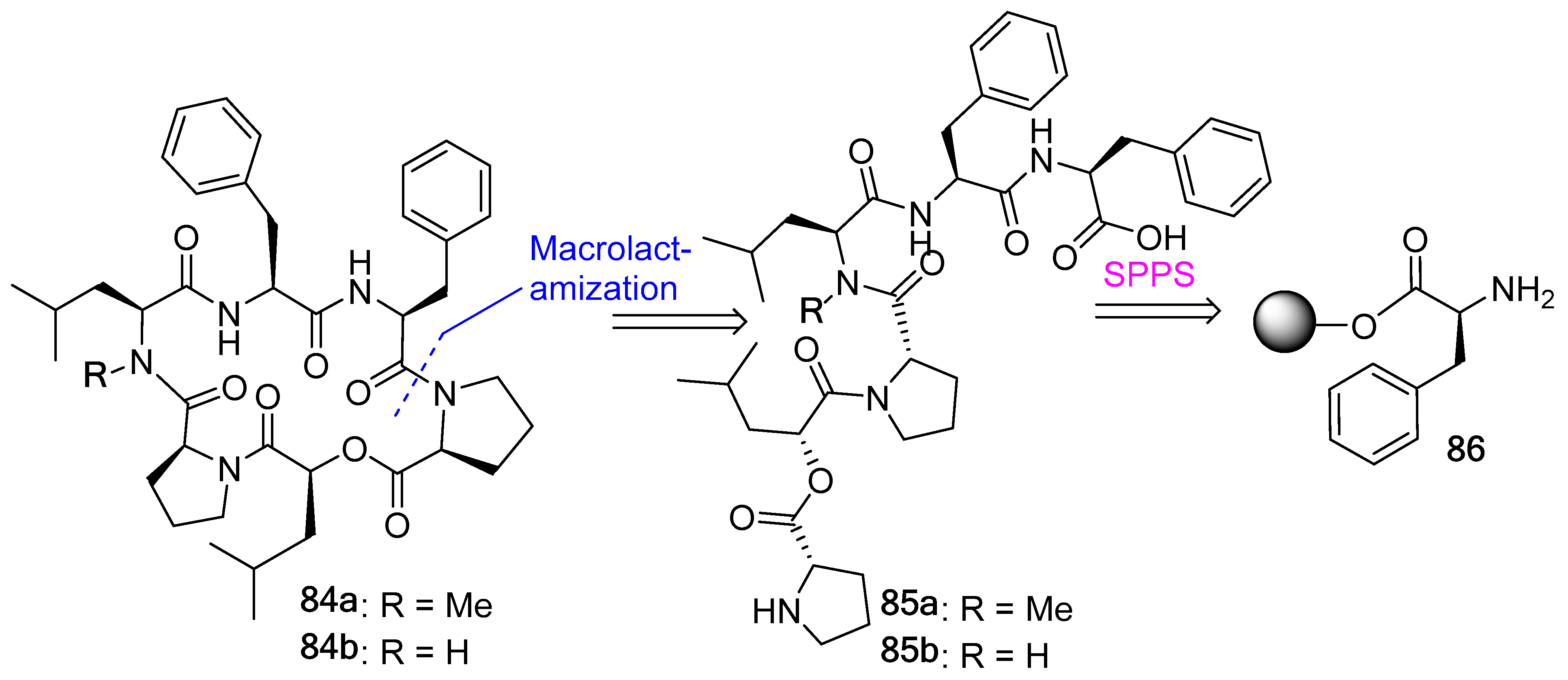 Biomedicines 13 00240 g023